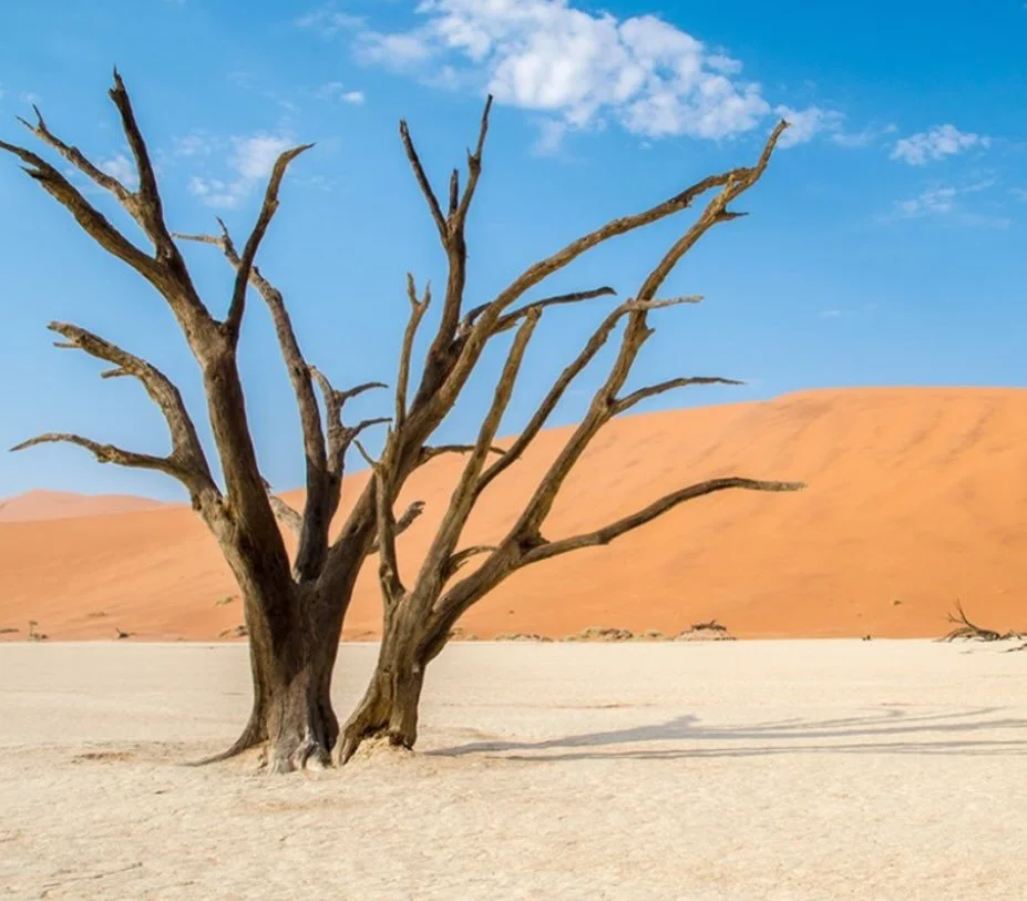 Namibia for families? A big YES.

Dunes, wildlife, coastline, night skies&hellip; this place is unreal.
I gathered everything into a simple 12-day itinerary you can save for later.

Ready in the Journal! 

#namibia #visitnamibia #namibiatravel #namib