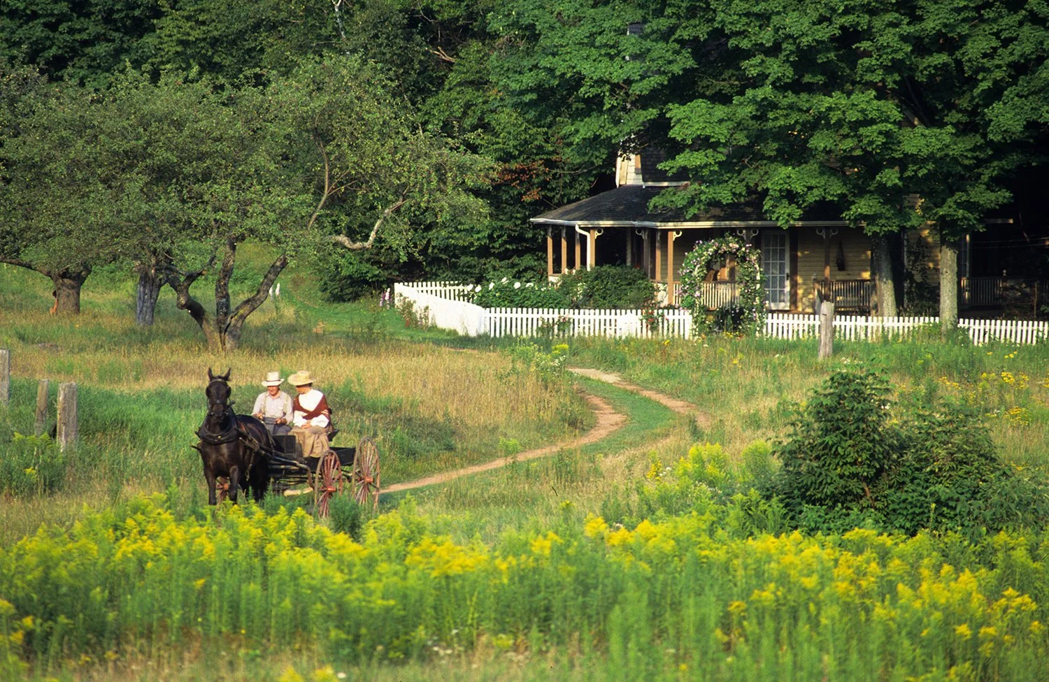 6038fd1894148a07bddeb601_landscape26 (1).jpg