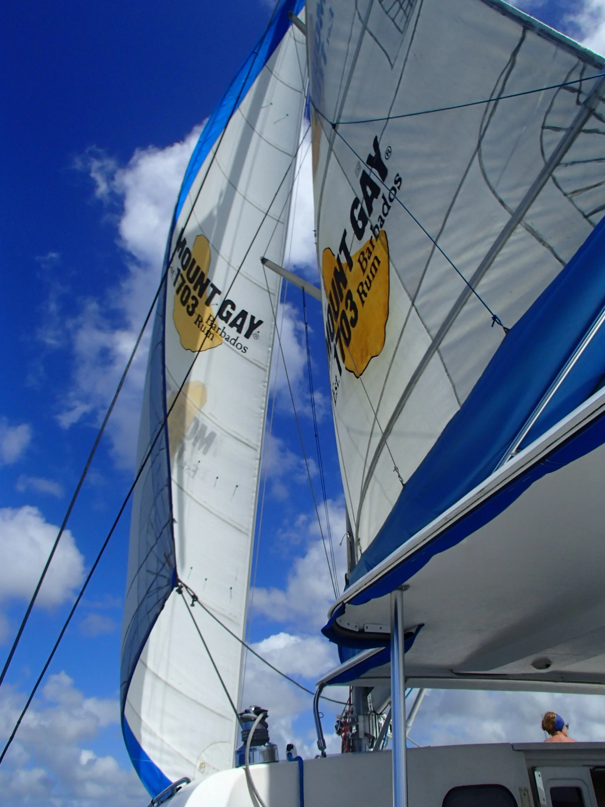 Catamaran-MountGaySails.JPG