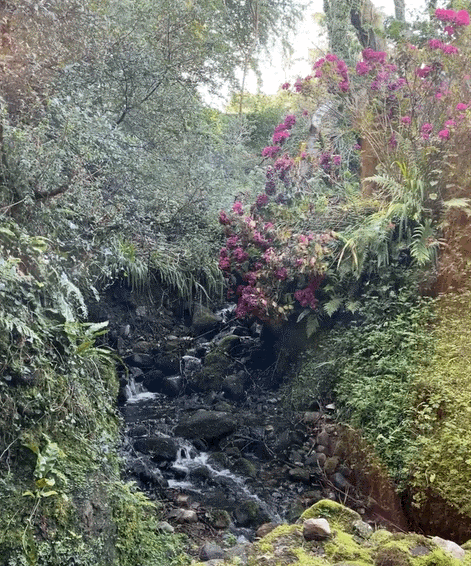 Abbeyglen-Waterfall.gif
