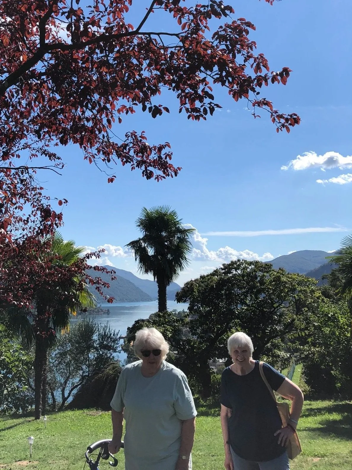 Lake Lugano in the background with pre-Alp hills, a palm tree, a grassy lawn with two women with white hair in front. One woman has dark sunglasses and a walker.