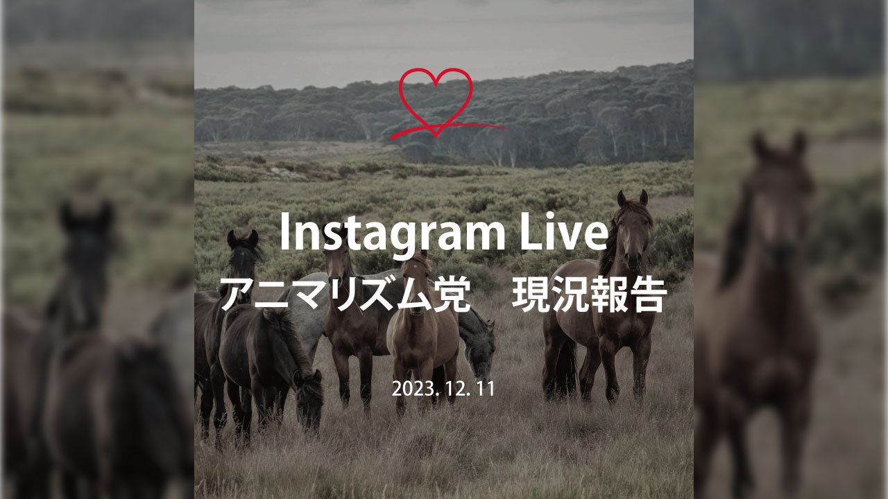 アニマリズム党 現況報告　20231211