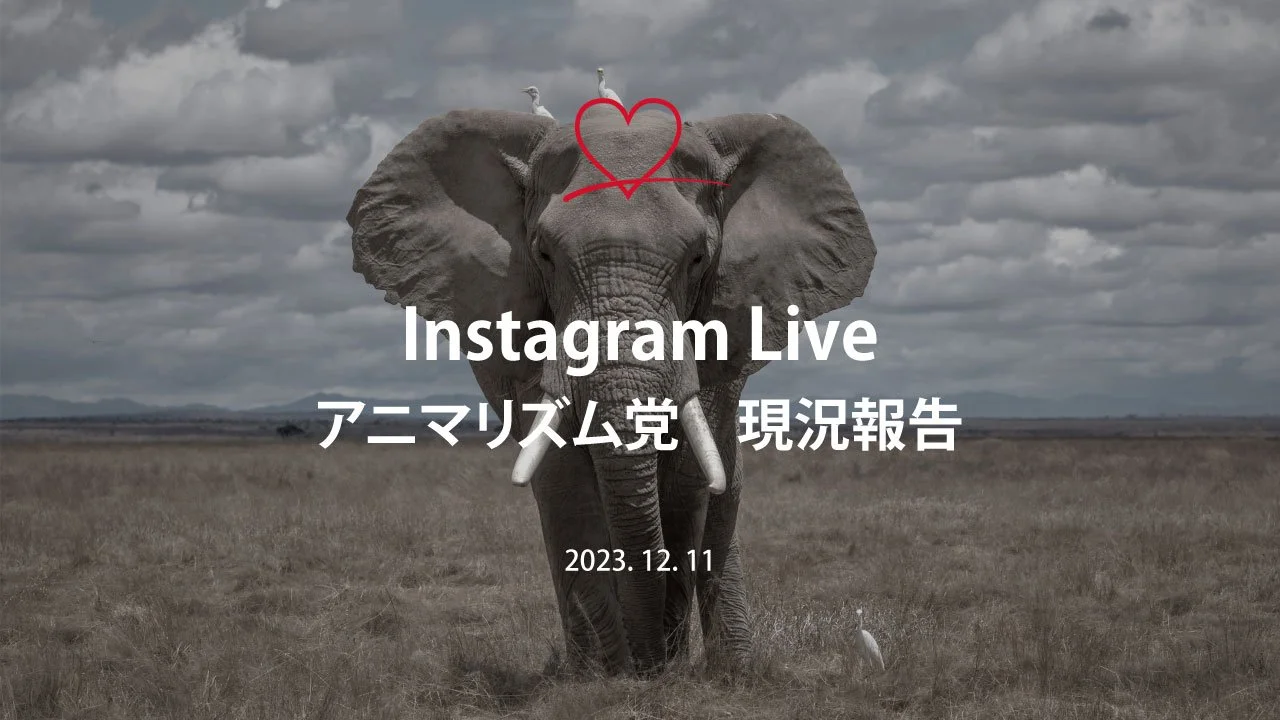 アニマリズム党セミナー　世界の動物党①_前半