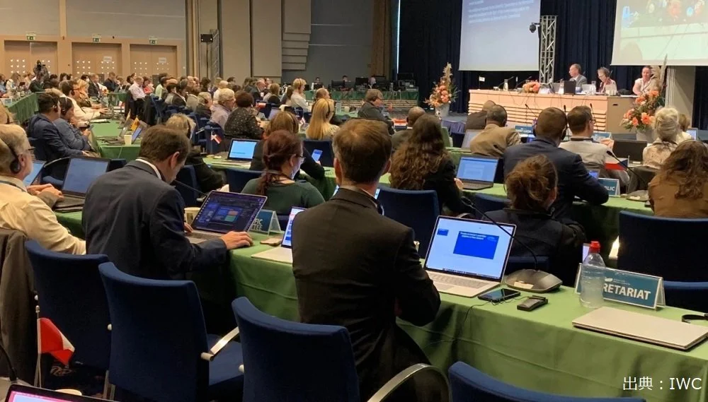 IWC68　南大西洋クジラサンクチュアリ、またもや設立ならず