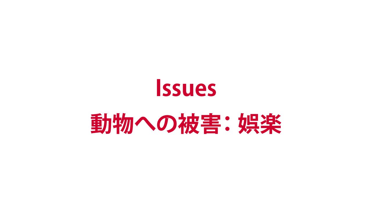 娯楽（制作中）