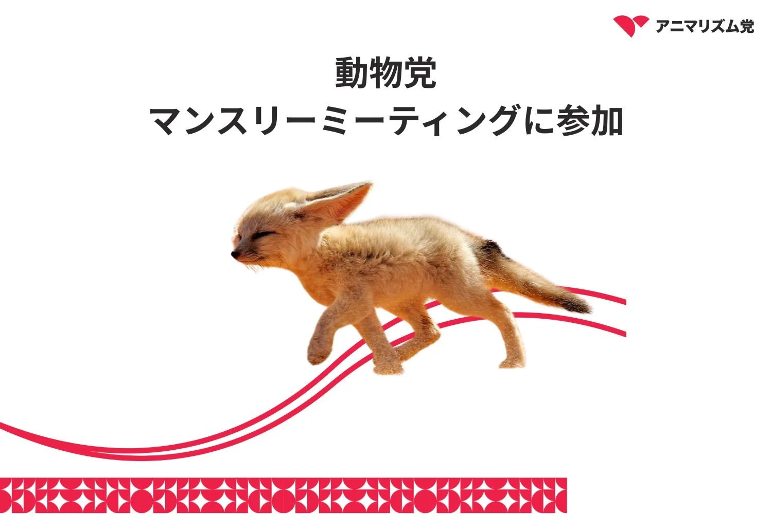 動物党マンスリーミーティングに参加