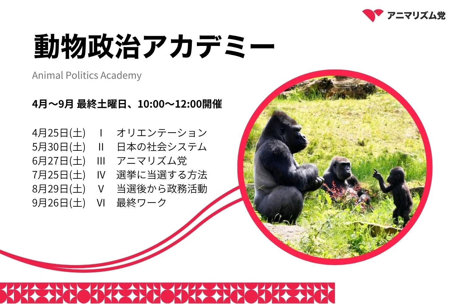動物政治アカデミー 2026(β)参加者募集