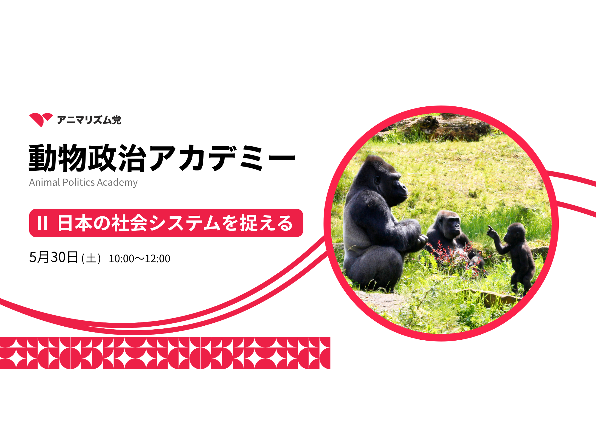 【参加者募集】動物政治アカデミー2026『 Ⅱ 日本の社会システムを捉える』5月30日(土)