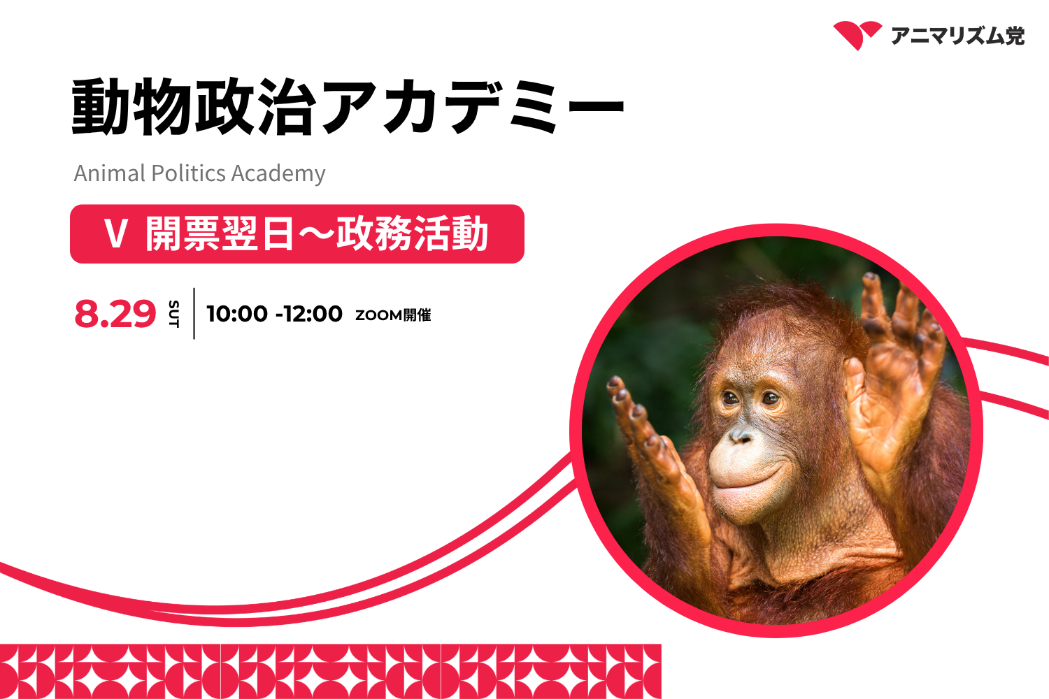 【参加者募集】動物政治アカデミー2026『 Ⅴ 開票翌日〜政務活動』8月29日(土)