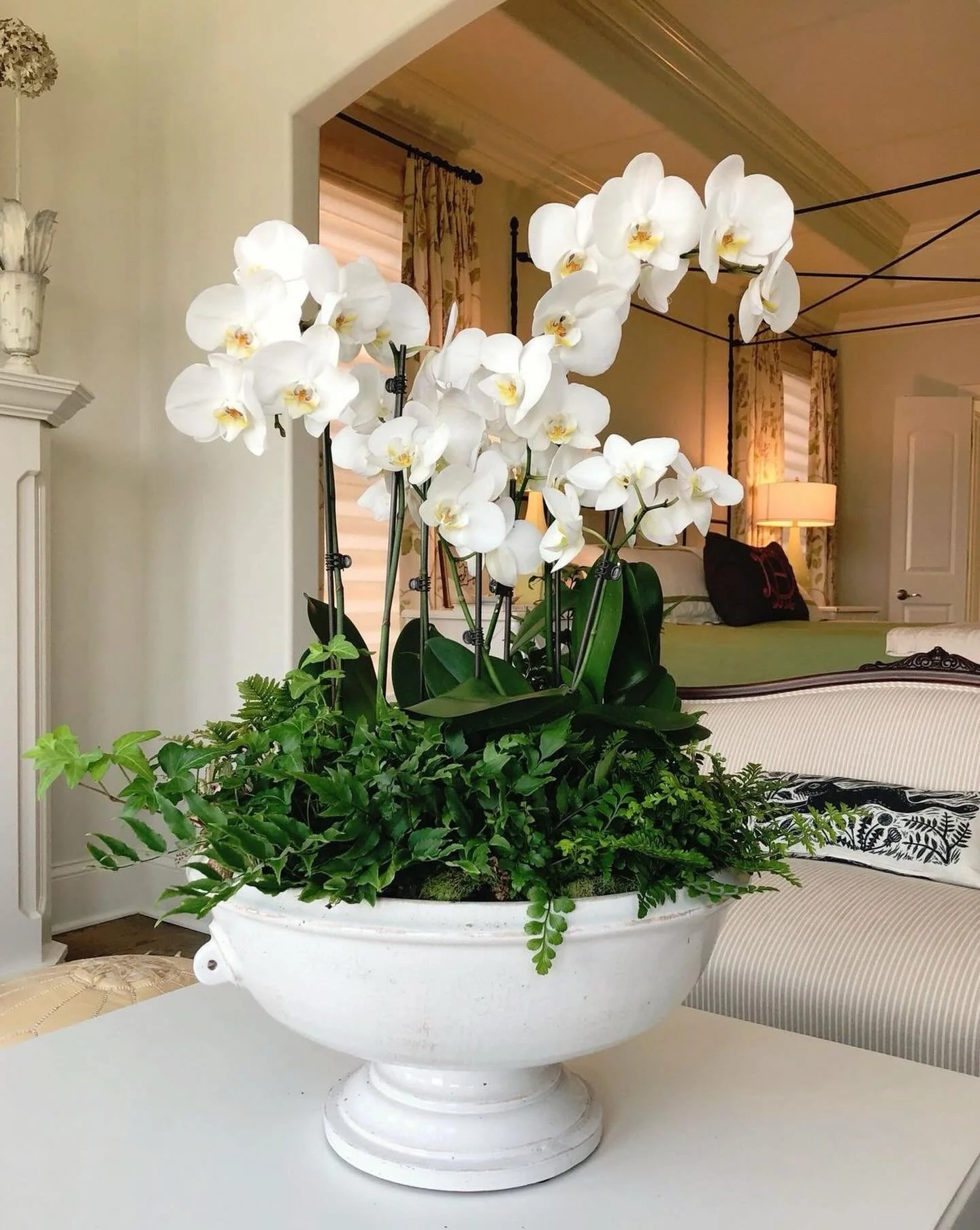 Styling the everyday doesn&rsquo;t have to be complicated.

Adding little touches around your home can be so simple. One of my favorite things to do is place orchids in a large vessel.

I currently have them in my foyer, and they completely change th