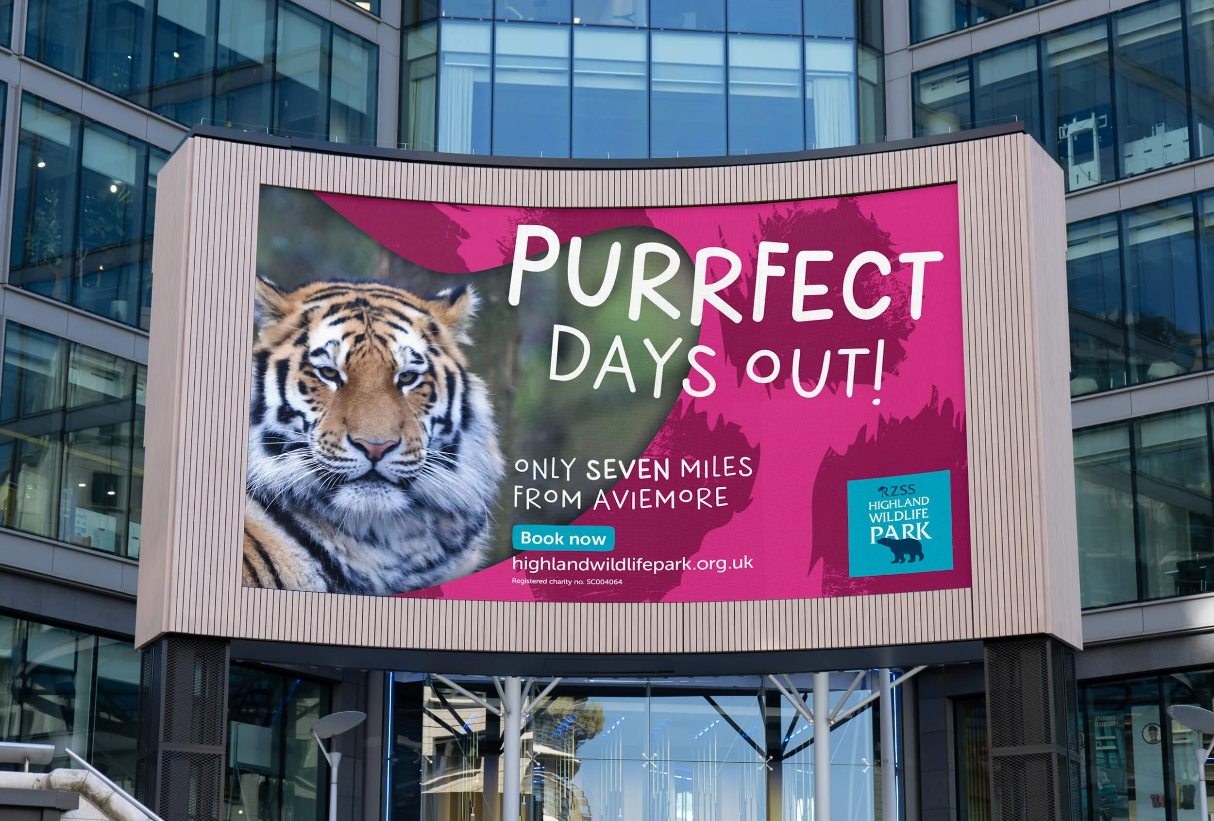 FLOCK_RZSS Big Screen 2.jpg