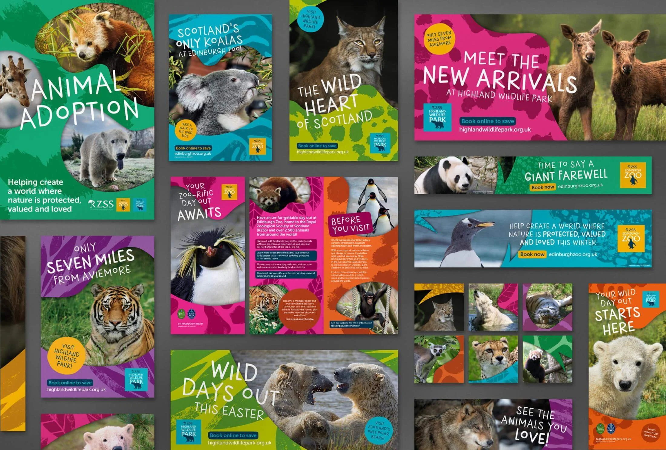 FLOCK_RZSS Montage.jpg