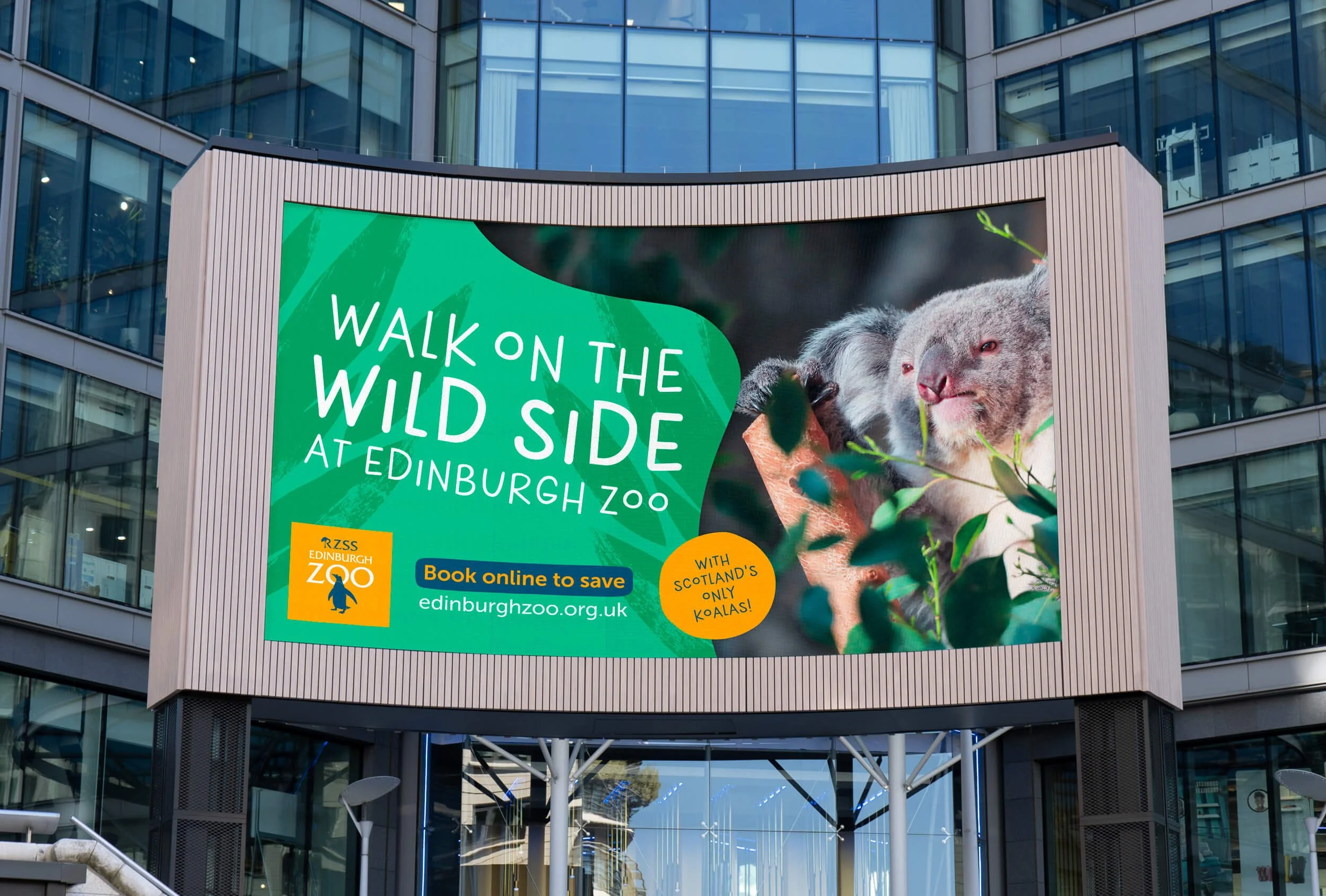 FLOCK_RZSS Big Screen 1.jpg