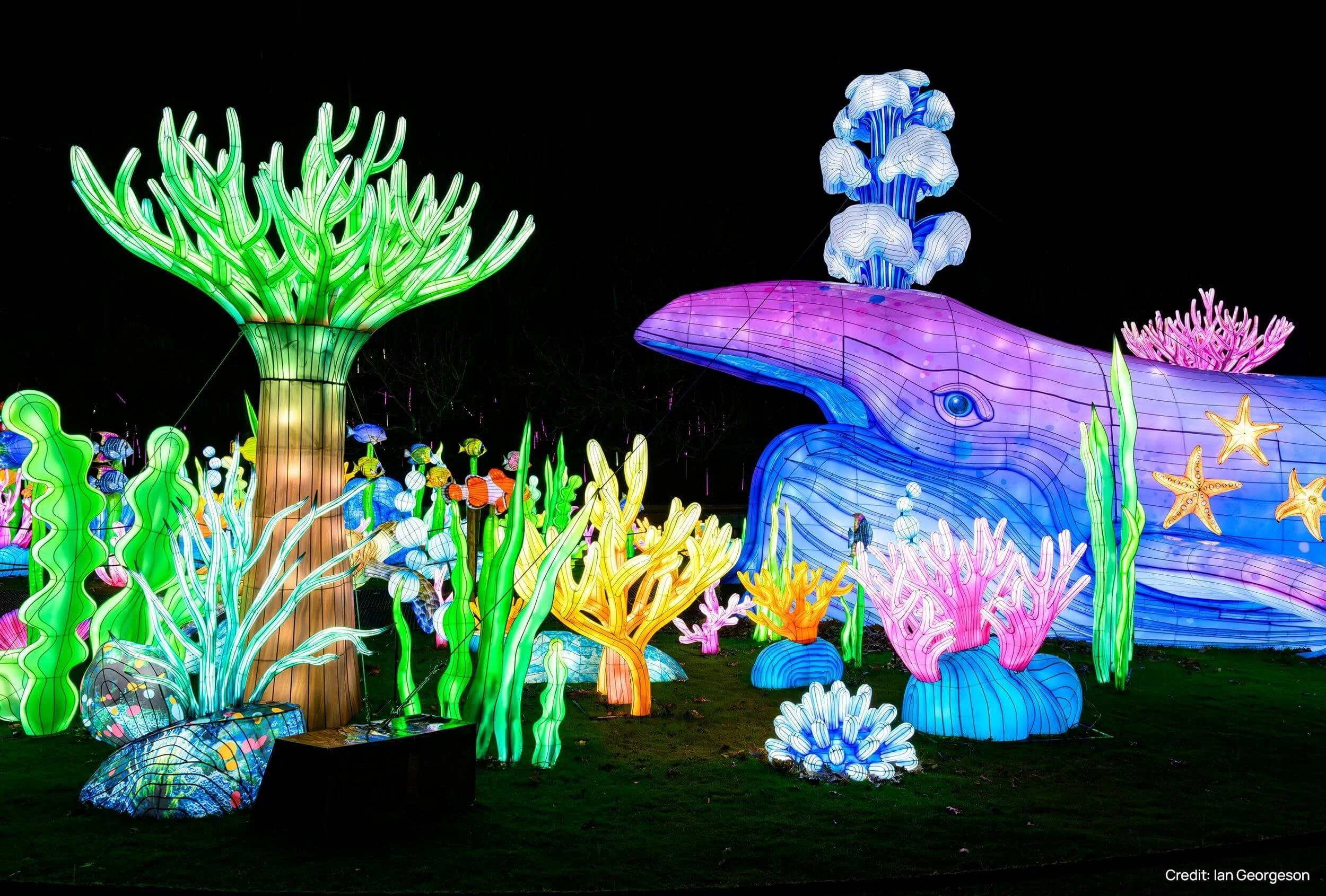 FLOCK_LANTERNS Edinburgh Zoo.jpg