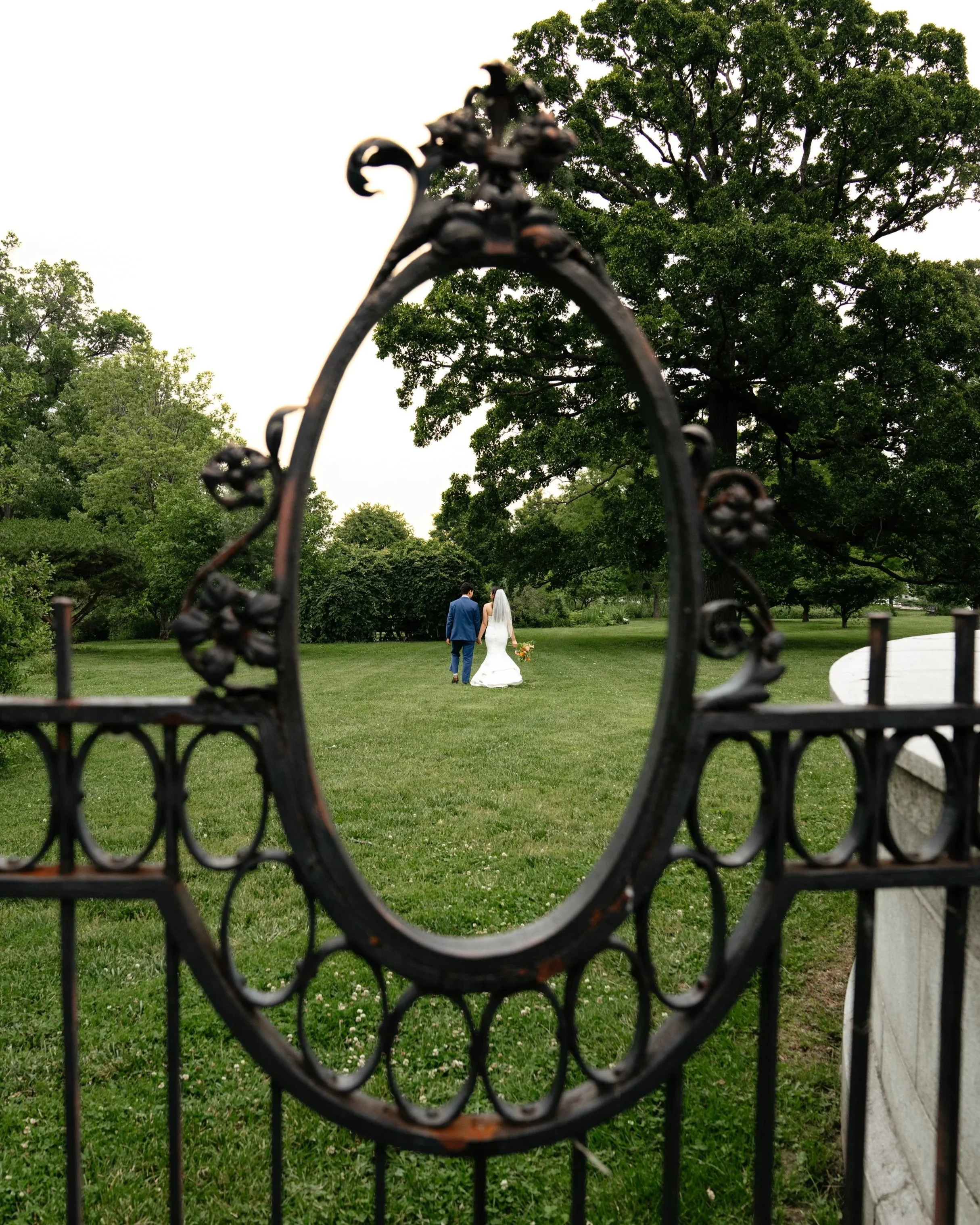 _SR13385.jpg