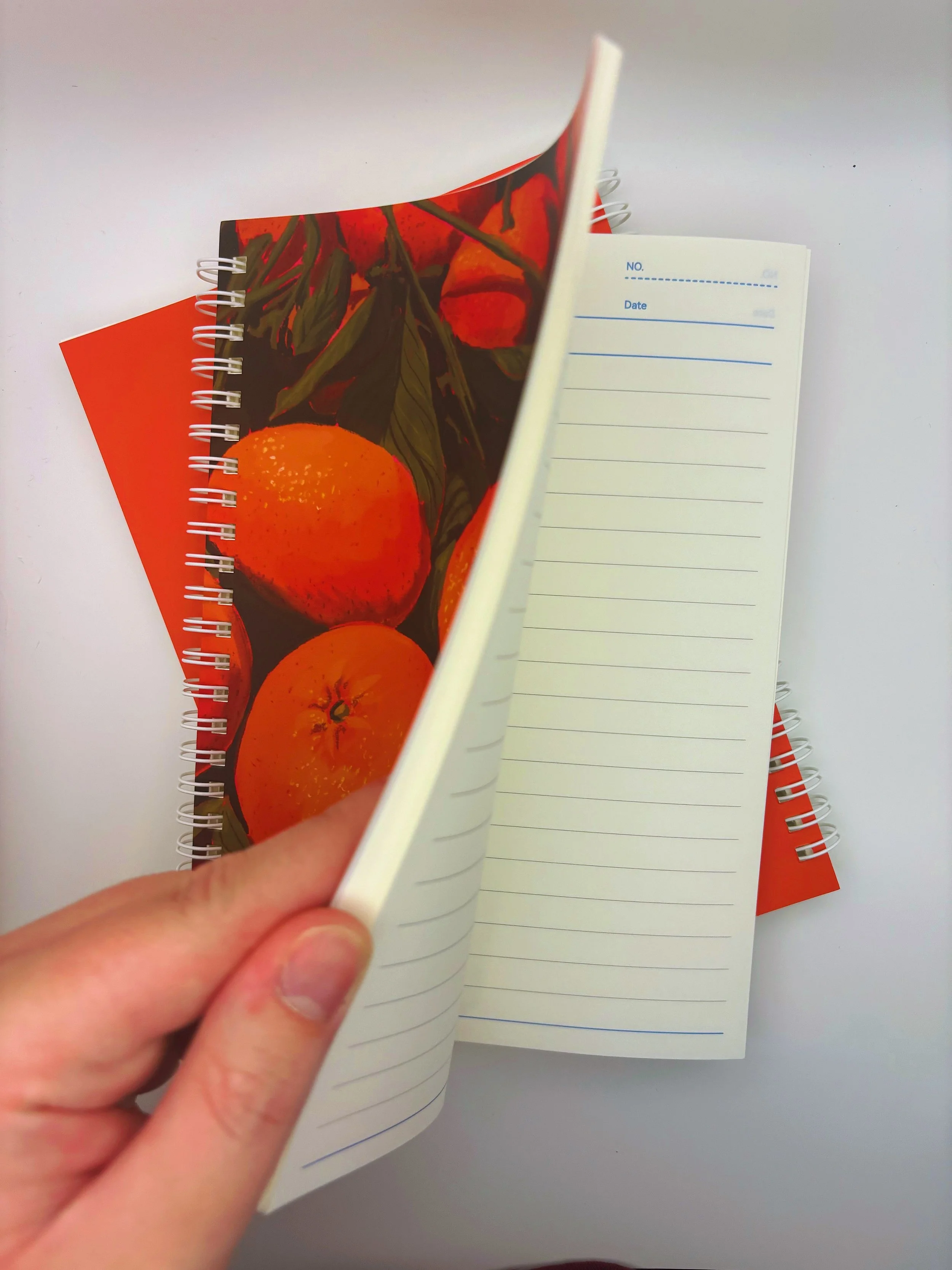 OrangesSpiralNotebookDetail.JPG