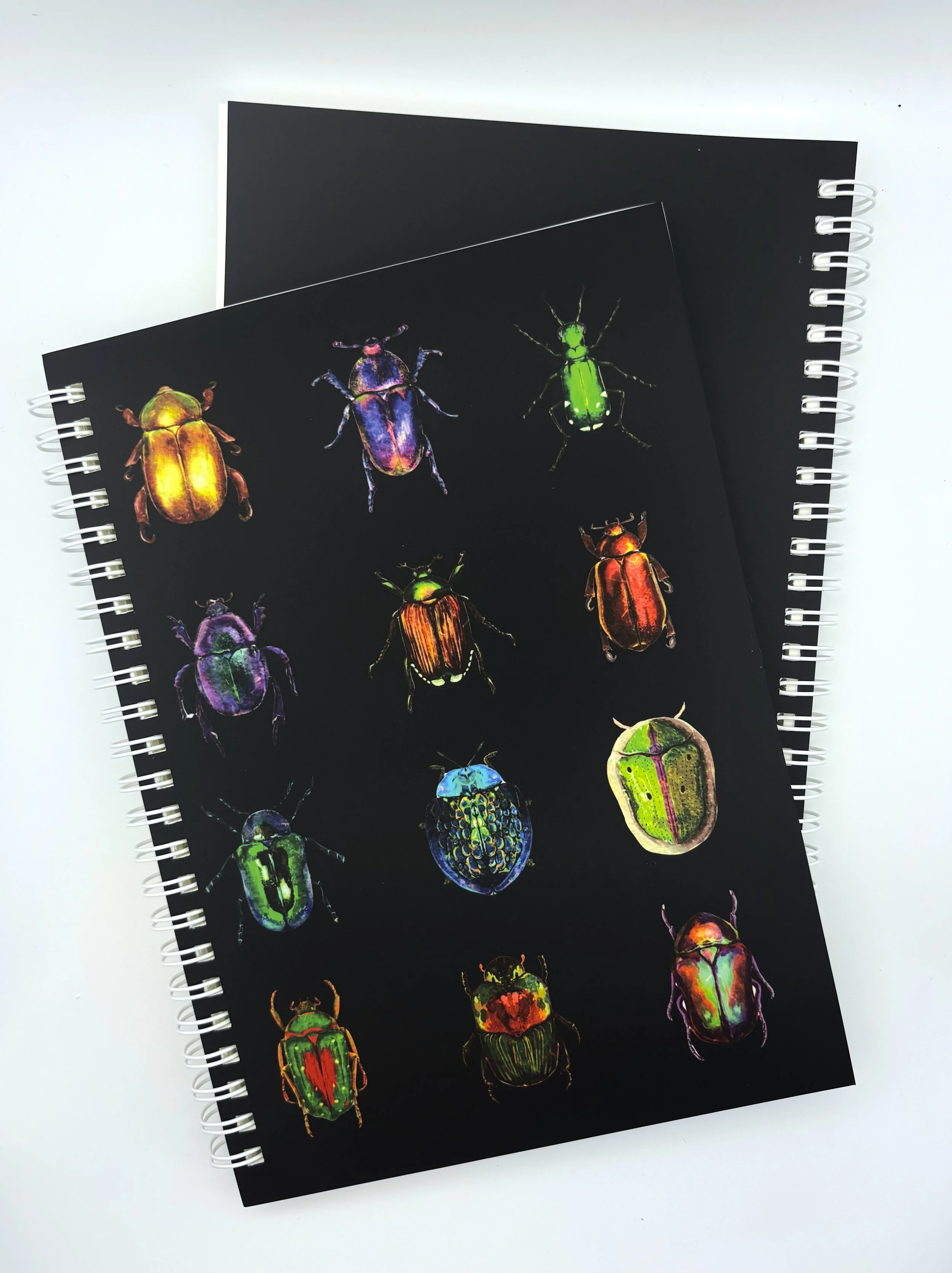 BeetlesSpiralNotebookFinal.jpg
