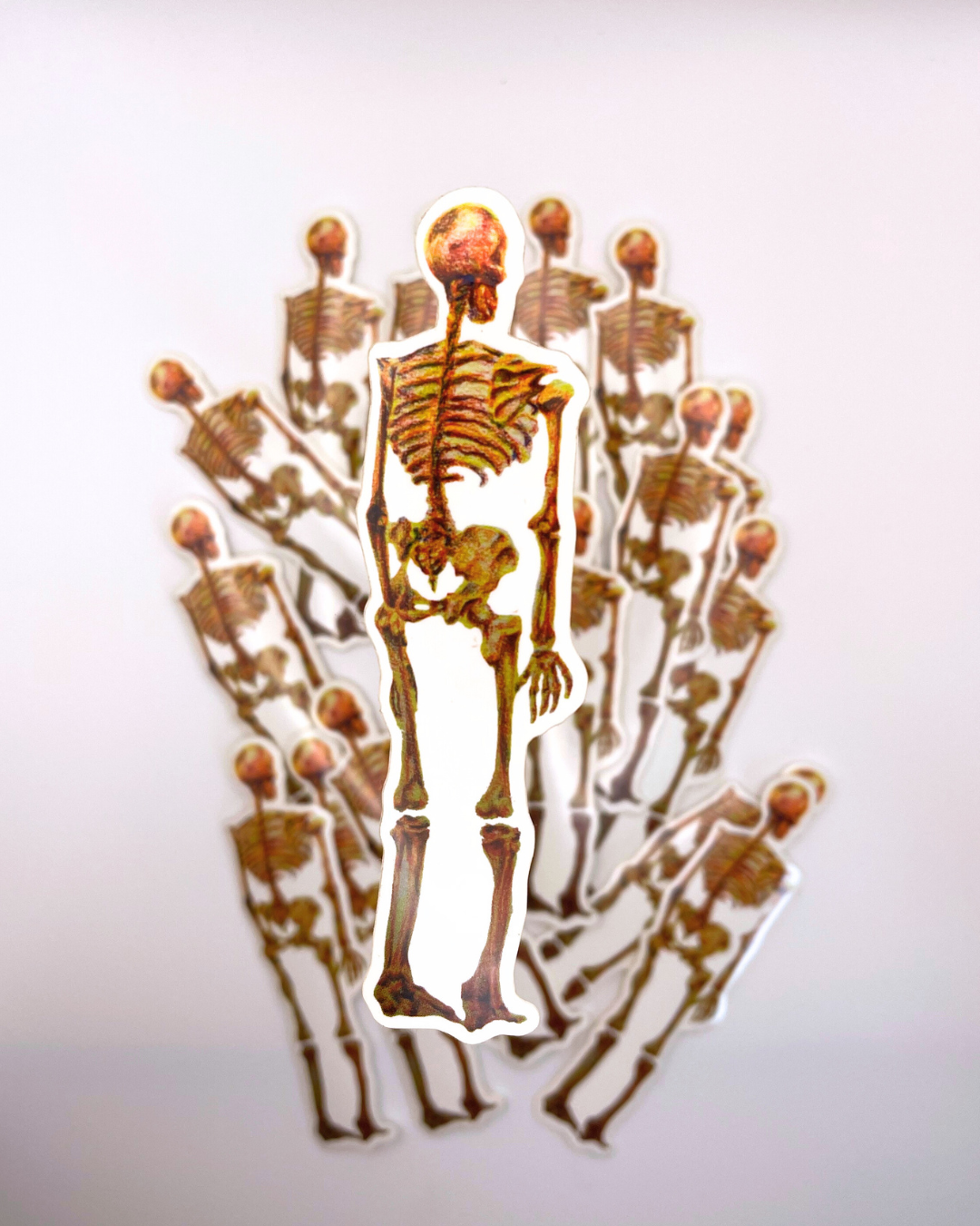 The Ochre Ancestor - Vinyl Sticker