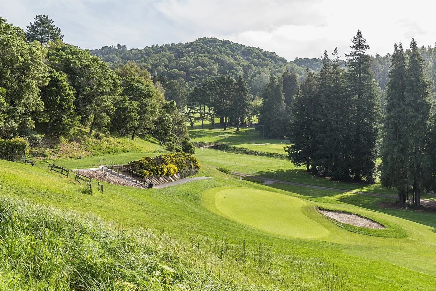 A scenic view of a golf course surrounded by lush green trees and rolling hills.