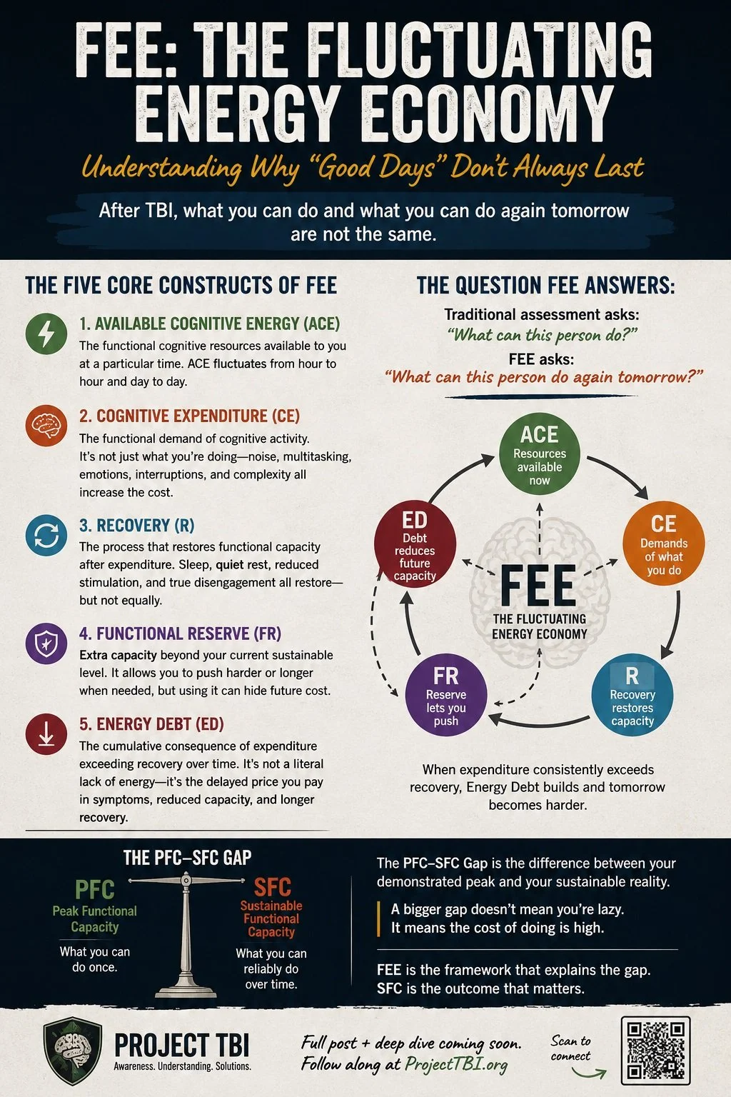the Fluctuating Energy Economy basic premise