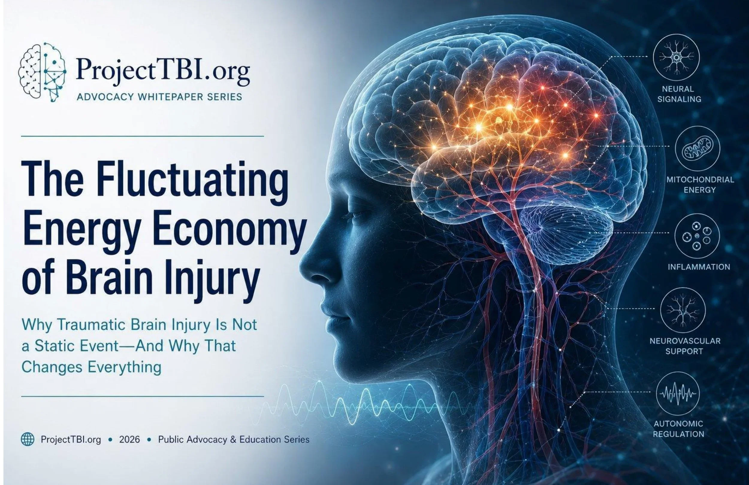 The Fluctuating Energy Economy of Brain Injury