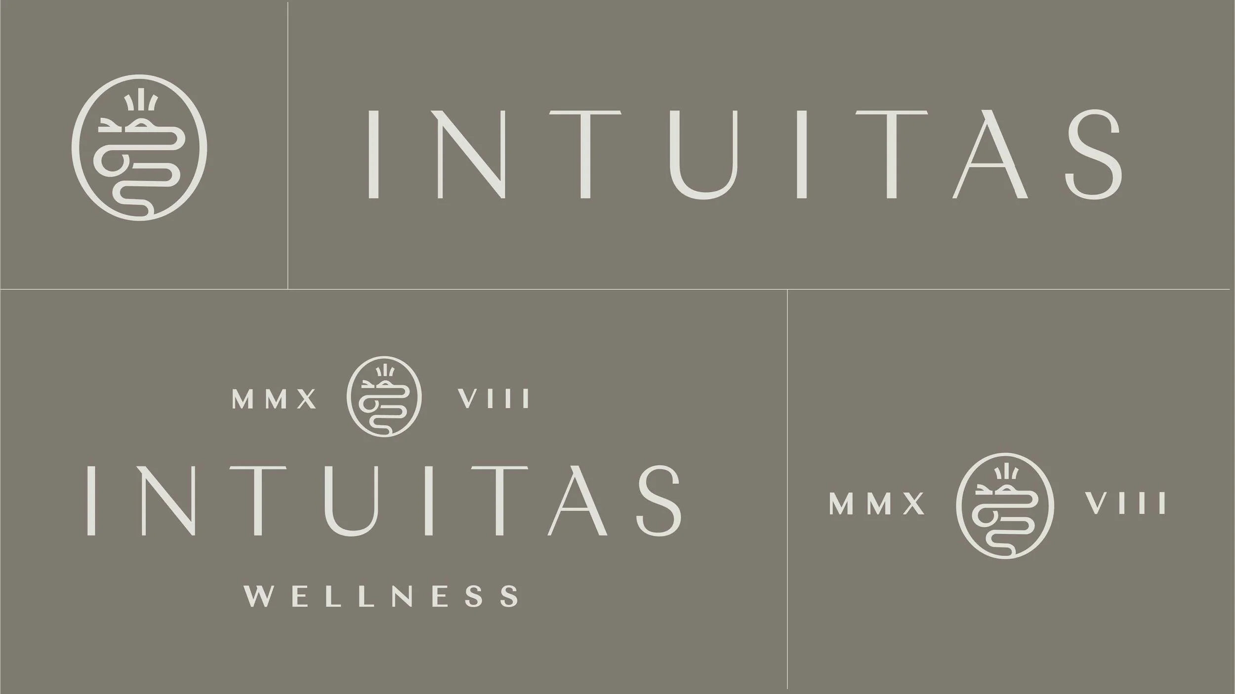 Intuitas R3-compressed_Page_12.jpg