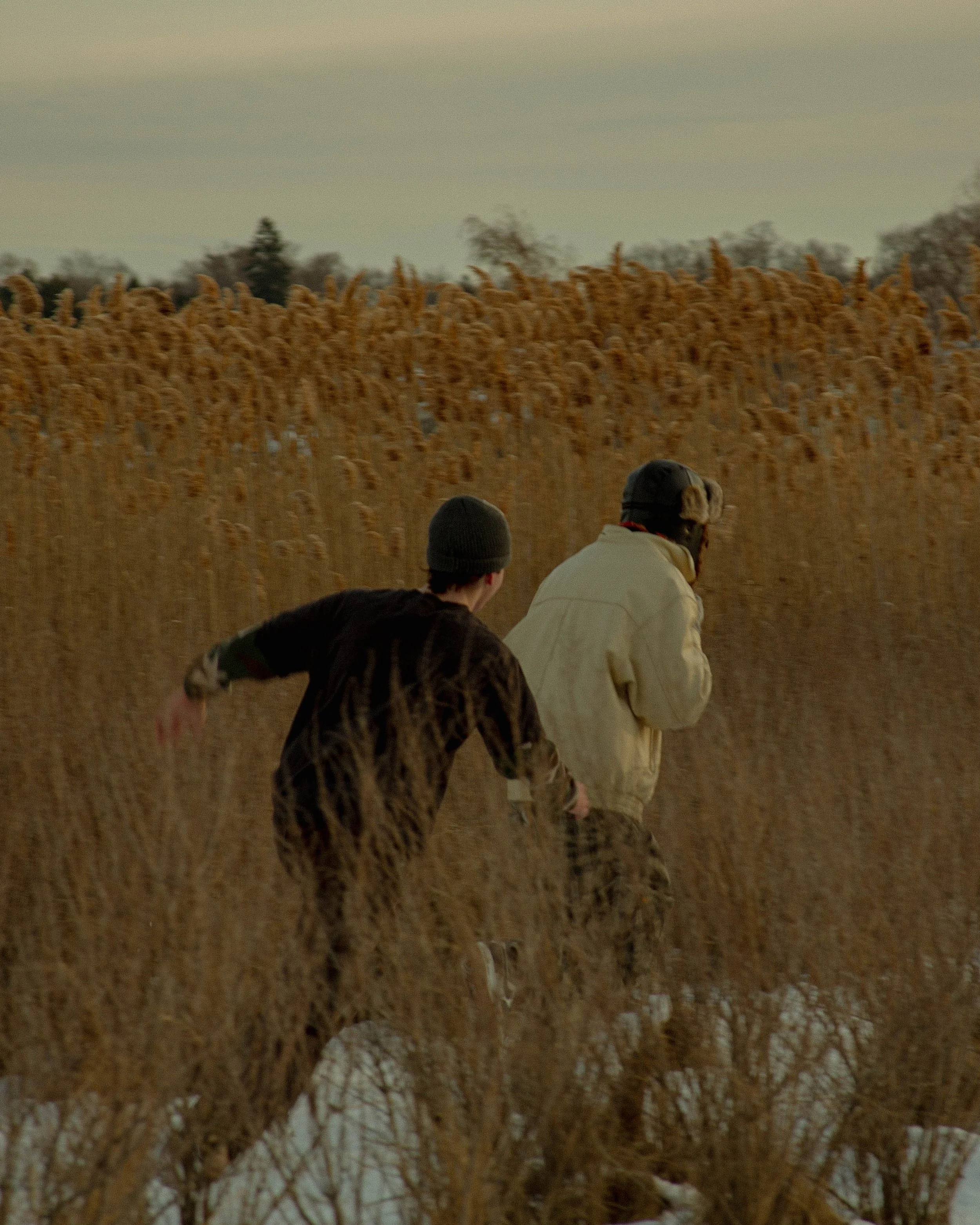 express-field-8.jpg