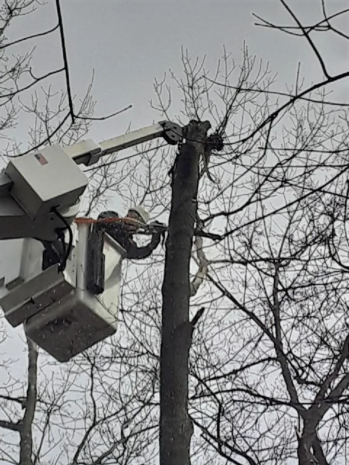 R.P.W. Contracting tree trimming using bucket truck for high-reach limb removal in Jeannette PA