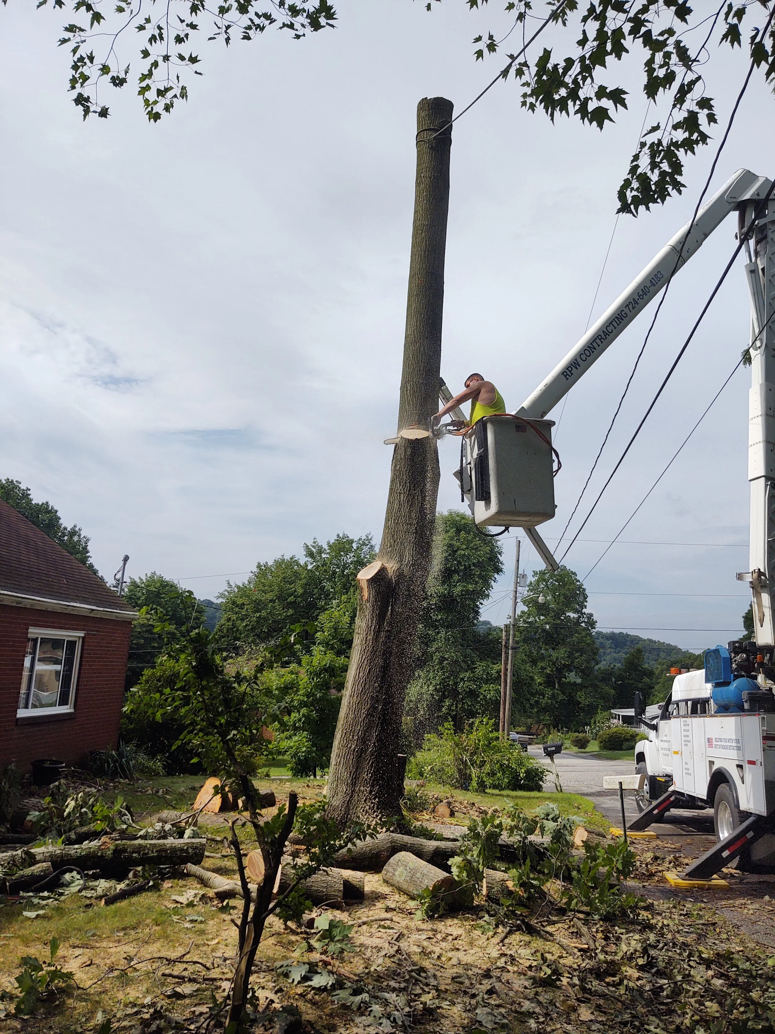 RPW Contracting removing large tree near power lines using bucket truck in Jeannette, PA – emergency tree removal and trimming service