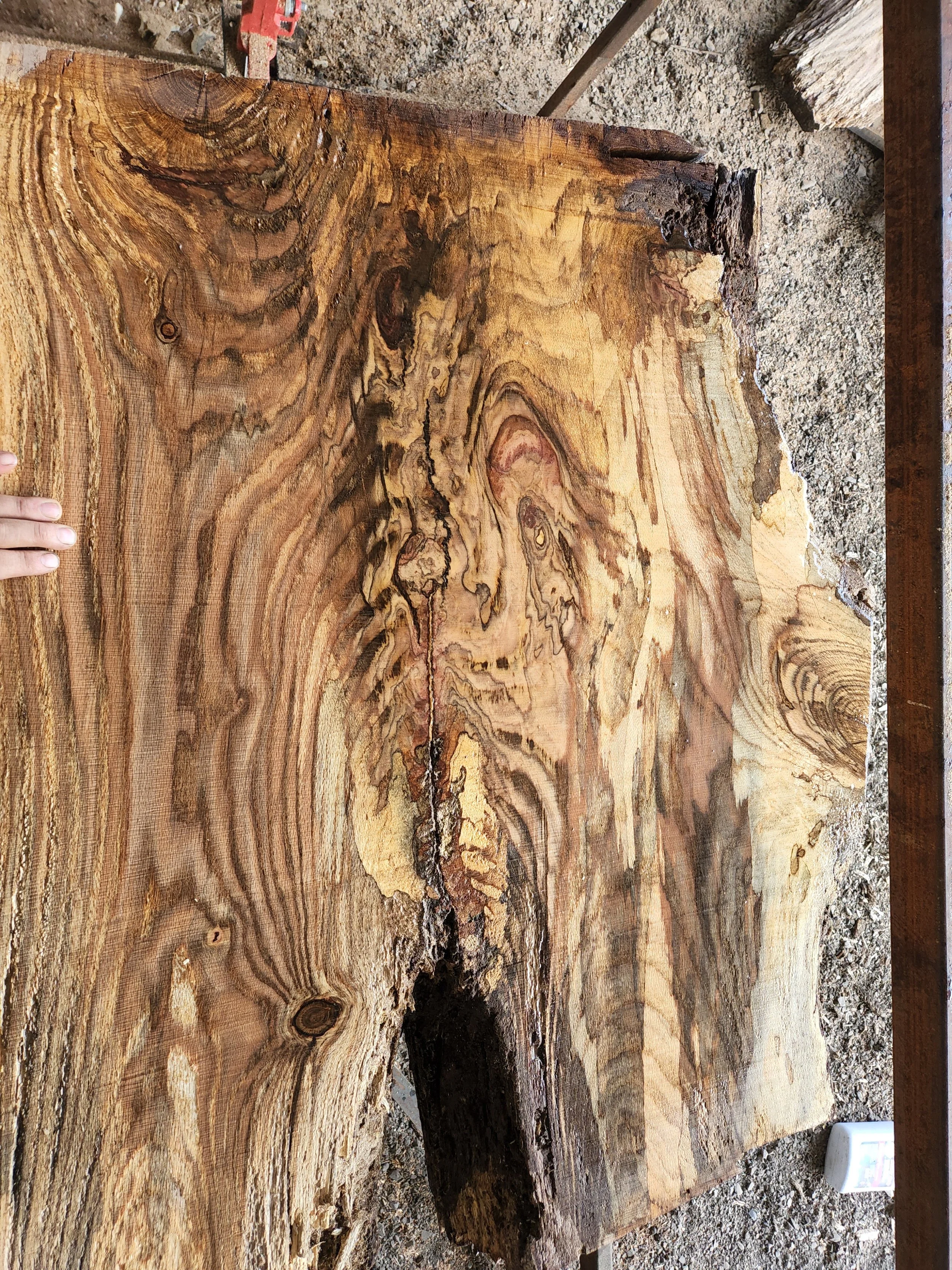 Beautiful live edge hardwood slab freshly milled by RPW Contracting during custom tree service and lumber processing in Jeannette, PA