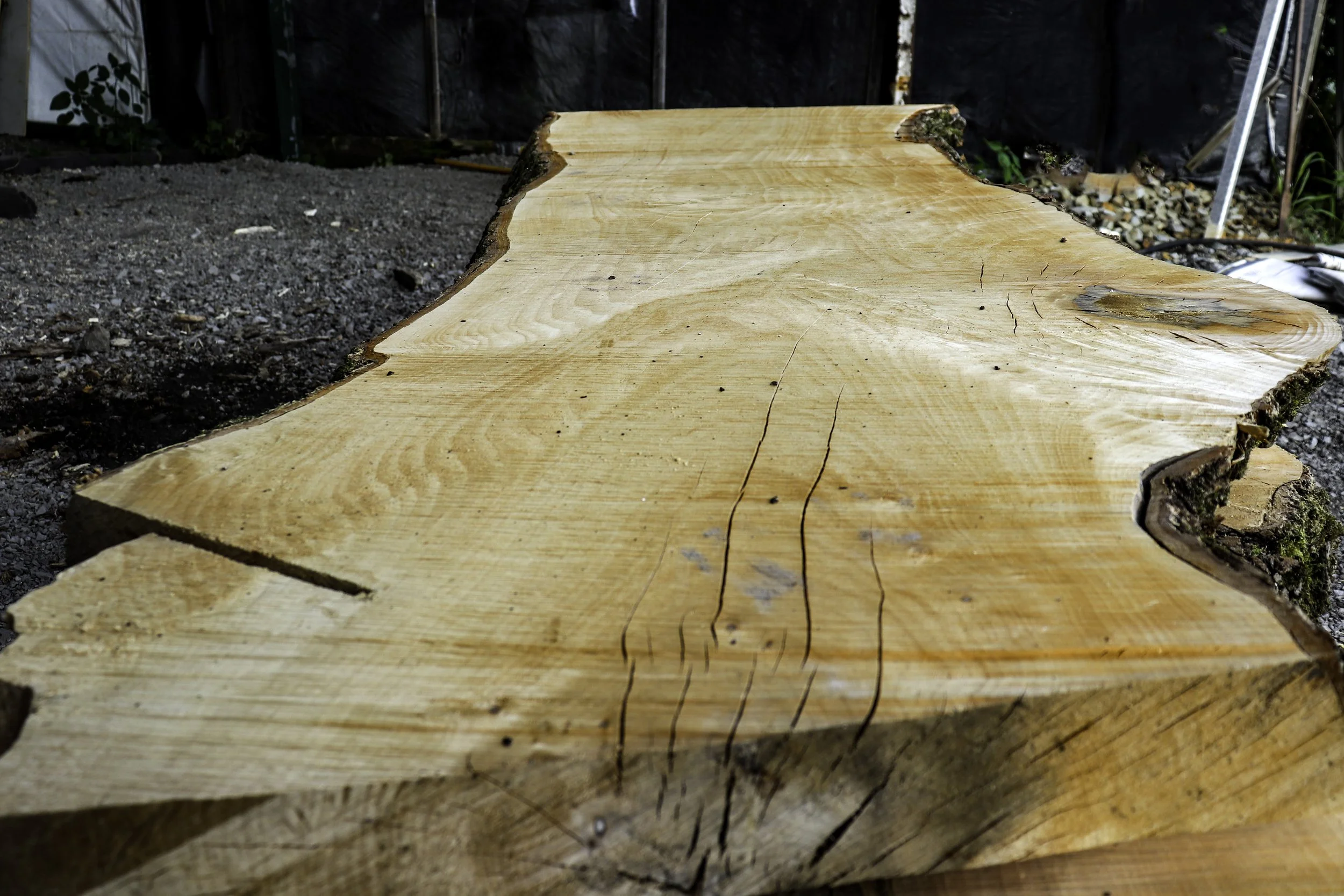 Large live-edge wood slab freshly milled by R.P.W. Contracting sawmill service in Jeannette, Pennsylvania.