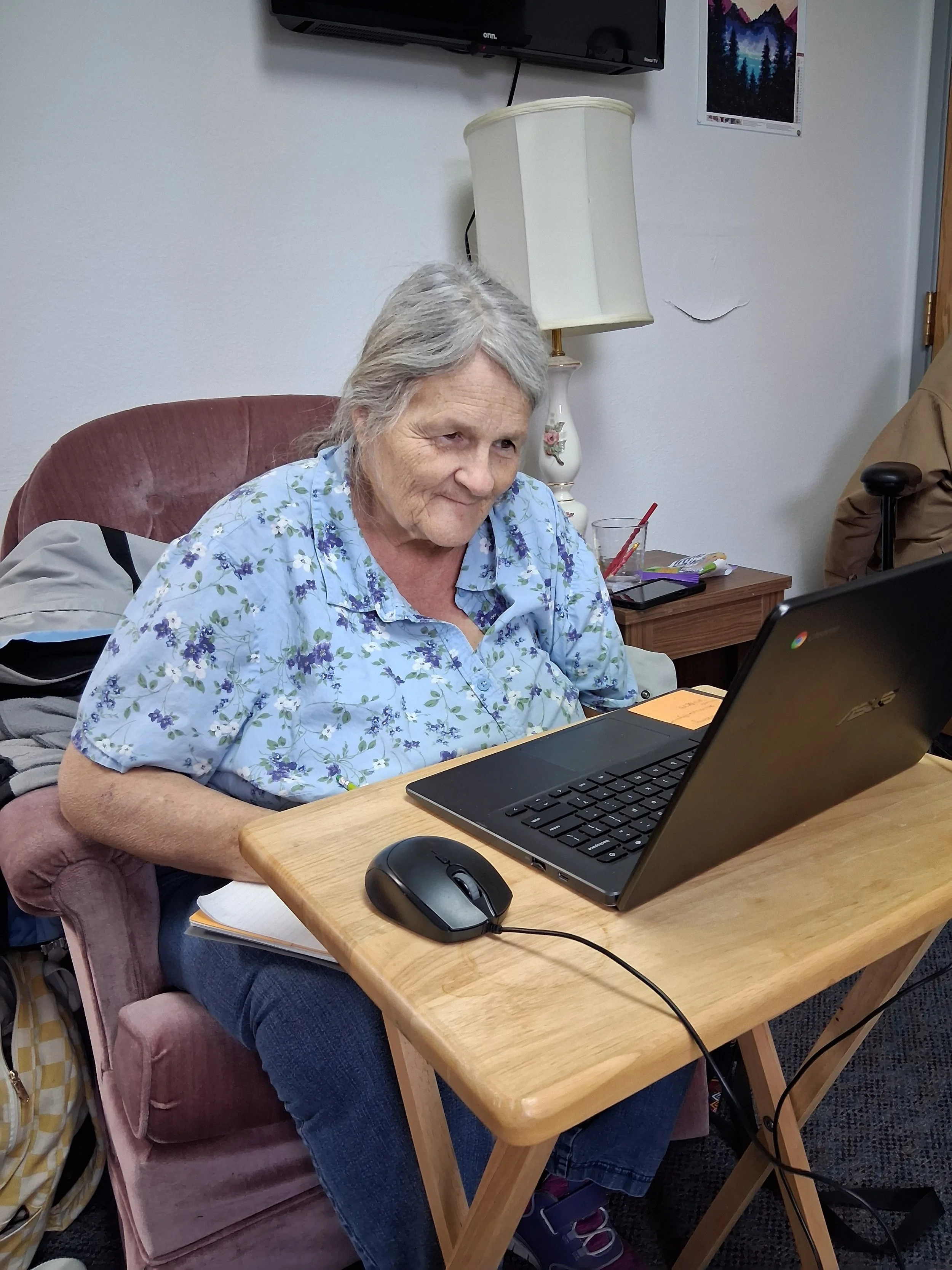 An elderly woman with gray hair sitting on a pink armchair working on a laptop at a wooden table, with a mouse nearby, in a room with a lamp, a television, and a picture on the wall.
