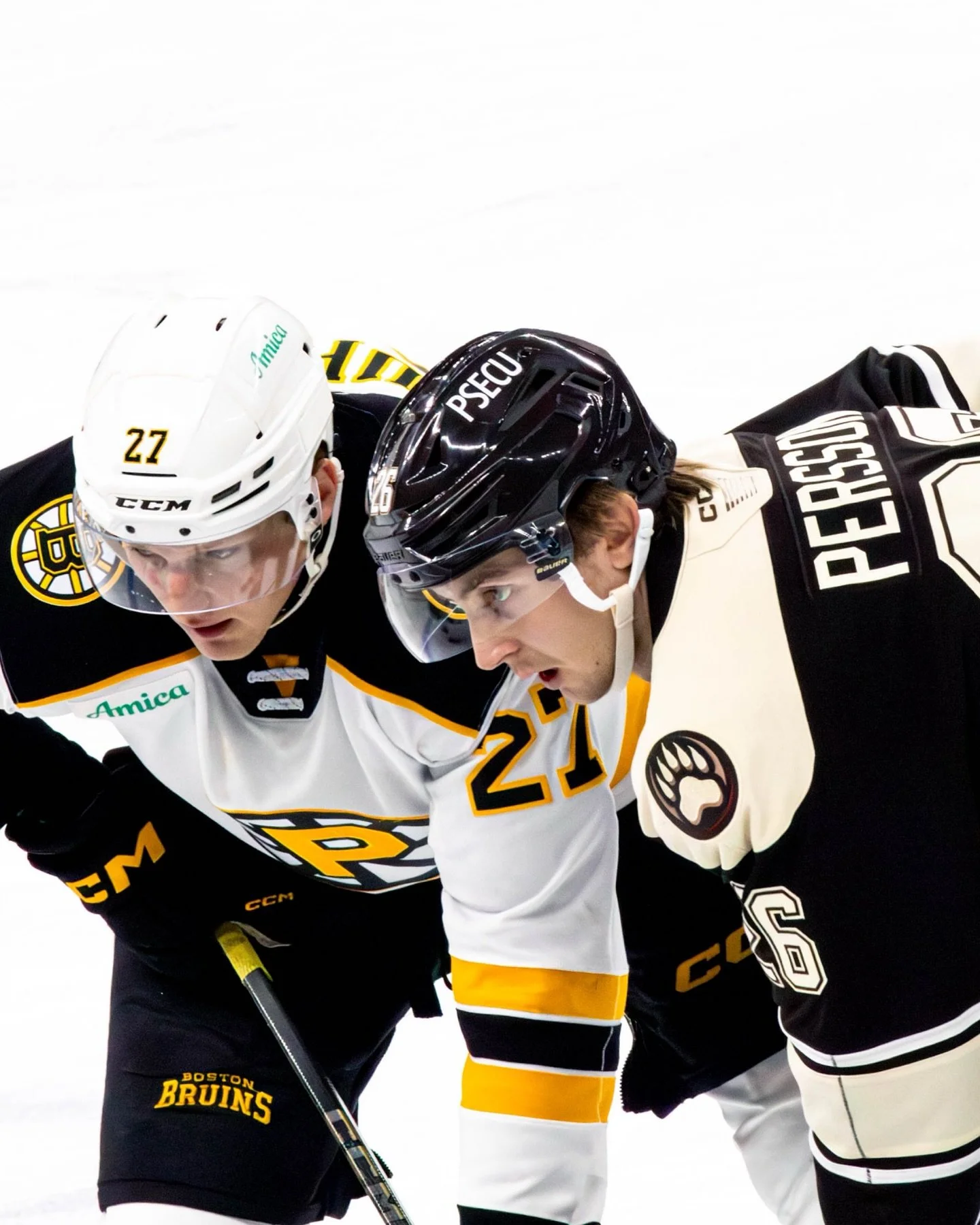 @ahlbruins vs @thehersheybears pt. 1

Fully gallery up on @hazzemedia
