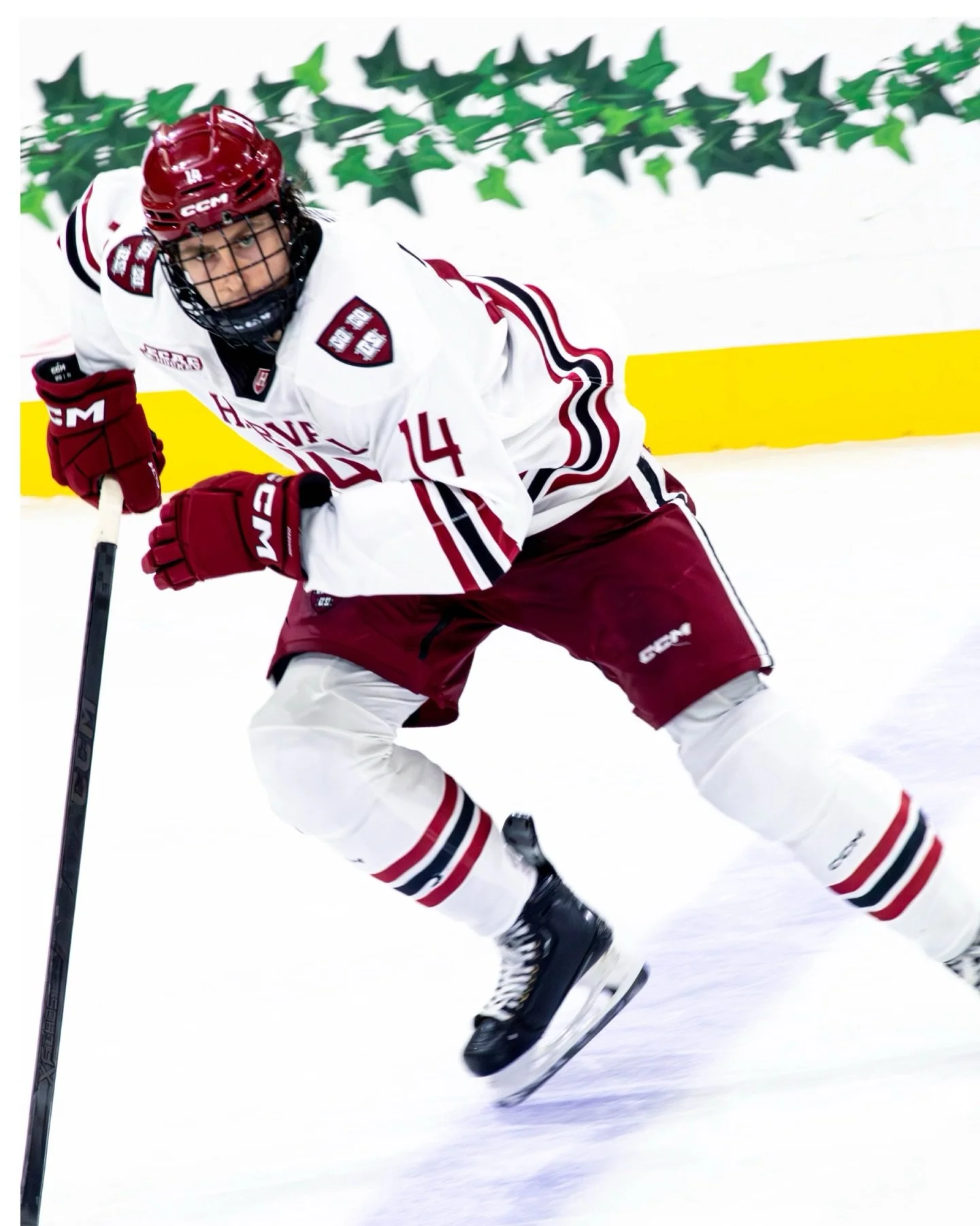 Blue vs Crimson 🏒

November 29th 

Full gallery on @hazzemedia