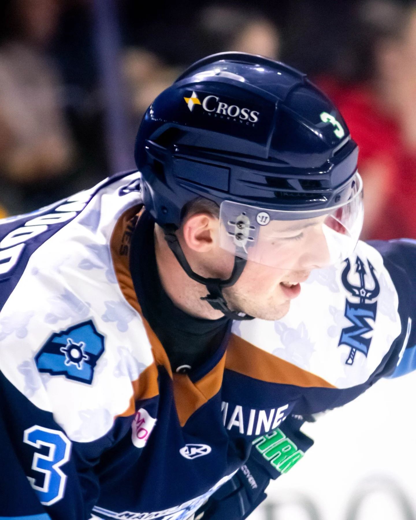 Wild Blueberry Night for @marinersofmaine vs @norfolkadmirals 

🔗 Gallery now up on Hazzemedia.com