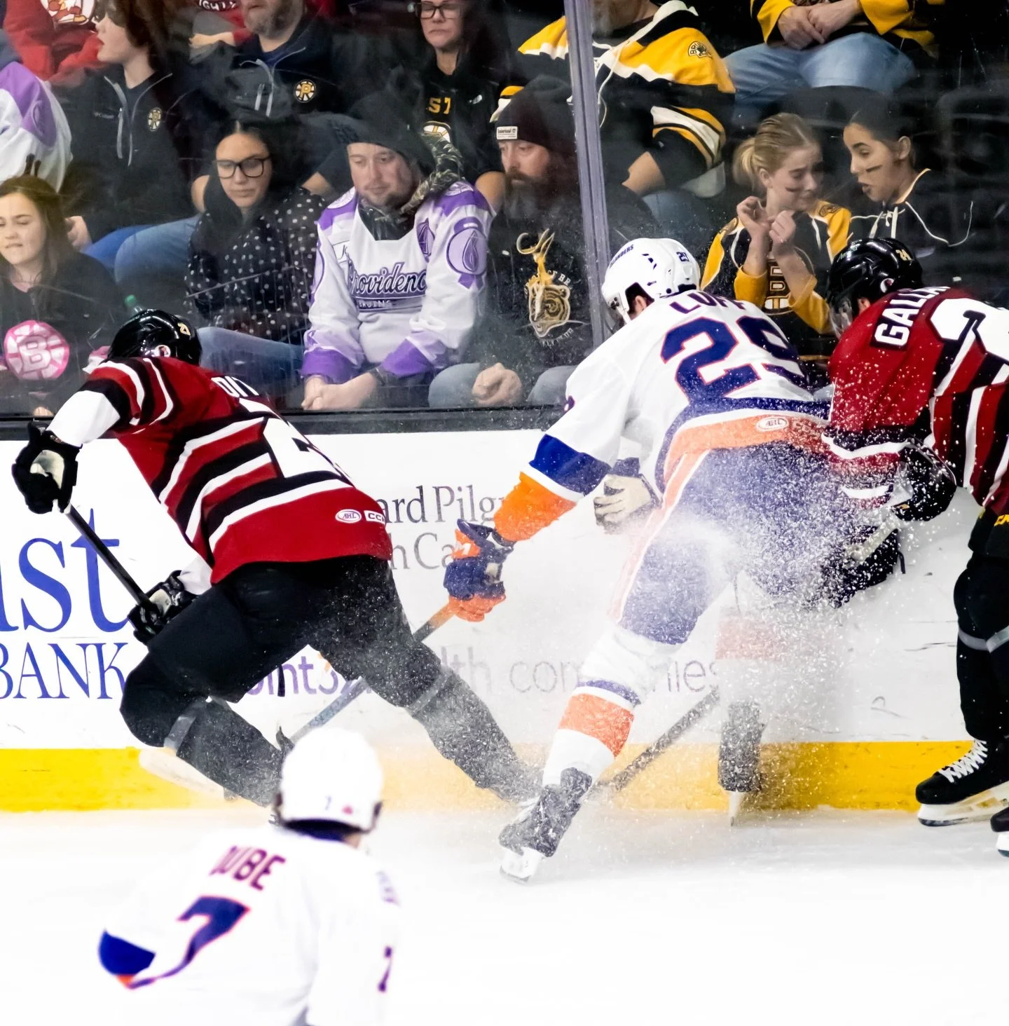 Sweet victory 

@ahlbruins vs @ahlislanders  feb 28th 2026