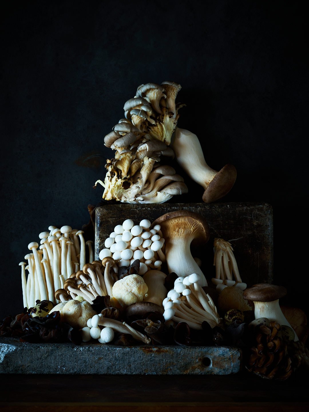 A dark background with a rustic tray filled with various types of fresh mushrooms, including oyster mushrooms, enoki, shiitake, and small white mushrooms, arranged on a wooden surface.