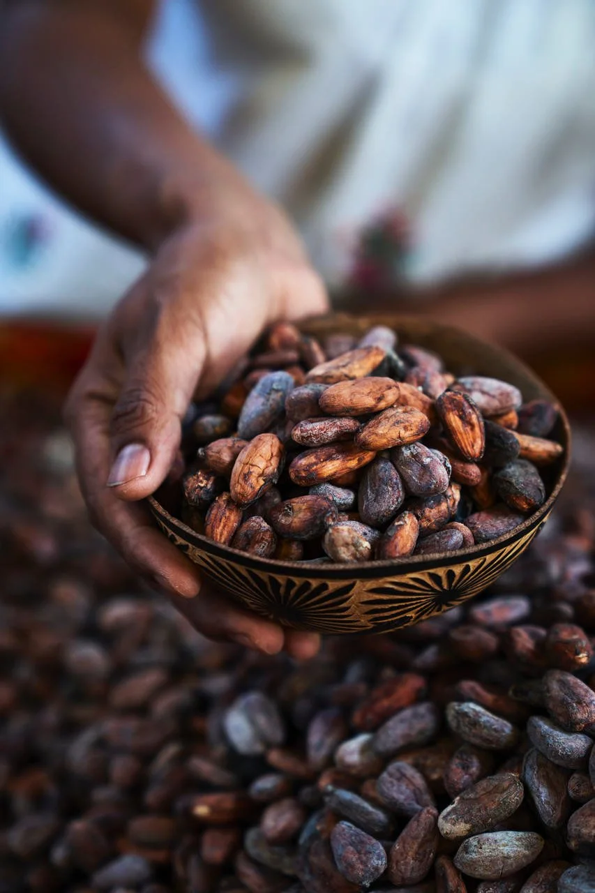 Close-up of a hand holding a decorative bowl filled with cacao beans, with more cacao beans spilled on a surface below.
