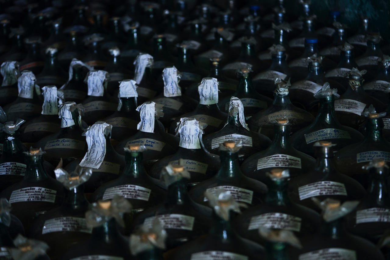 A large number of bottles with dark glass and sealed with paper caps arranged in rows.