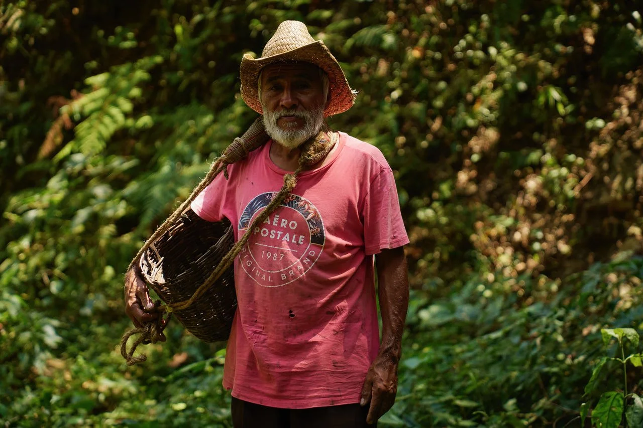 An elderly man with a gray beard and mustache, wearing a straw hat and a pink t-shirt, carrying a woven basket over his shoulder with a rope, standing in a lush green forest.