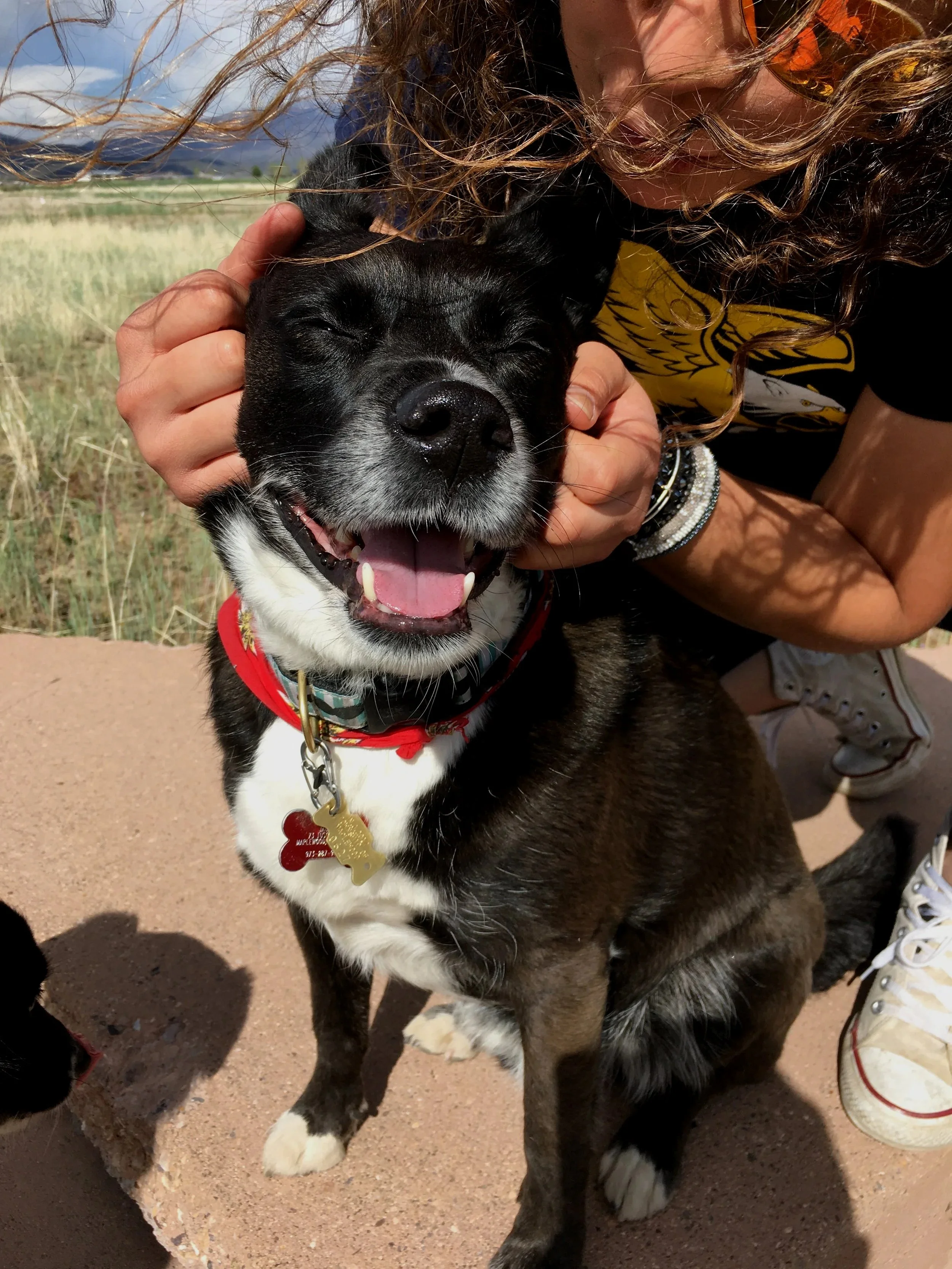 A person with curly hair and sunglasses is hugging a happy black and white dog with a red collar and dog tags, sitting outdoors on a dirt path with grass and mountains in the background.