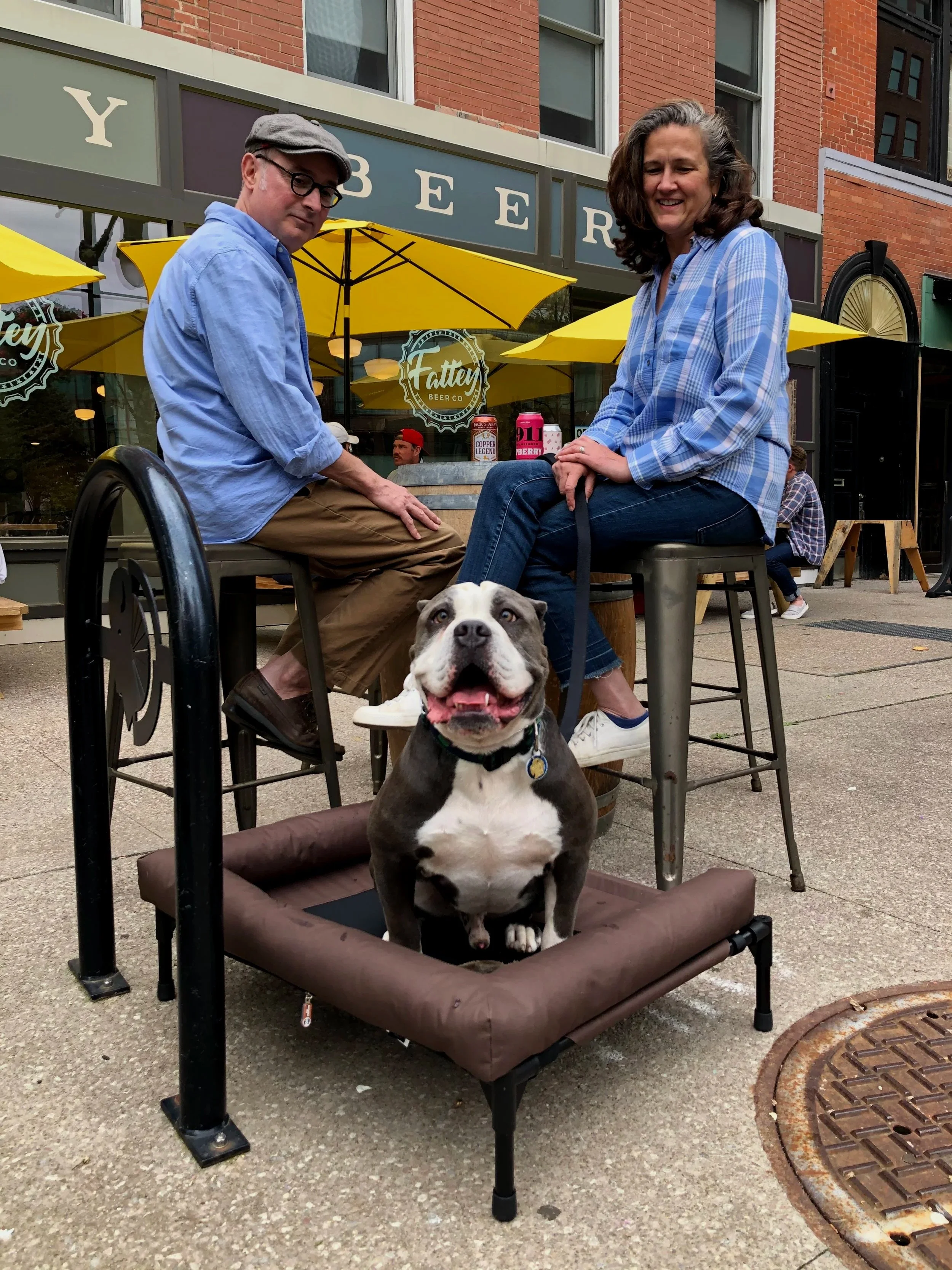 A happy gray and white dog sitting on a dog bed outdoors on a city sidewalk, with two people sitting at a table behind it, and yellow umbrellas and a brick building in the background.