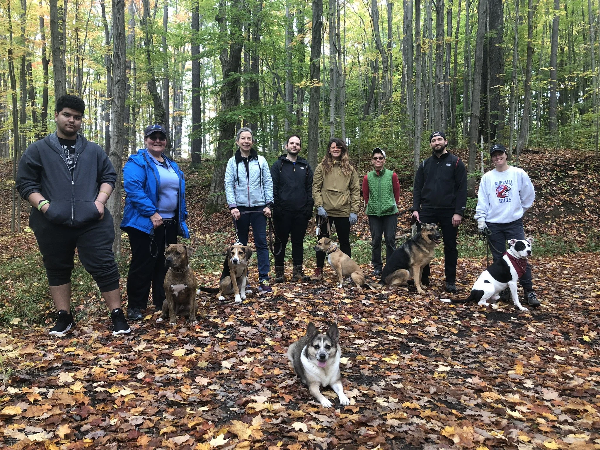 Group of nine people and six dogs on a fall hike in a wooded area with fallen leaves.