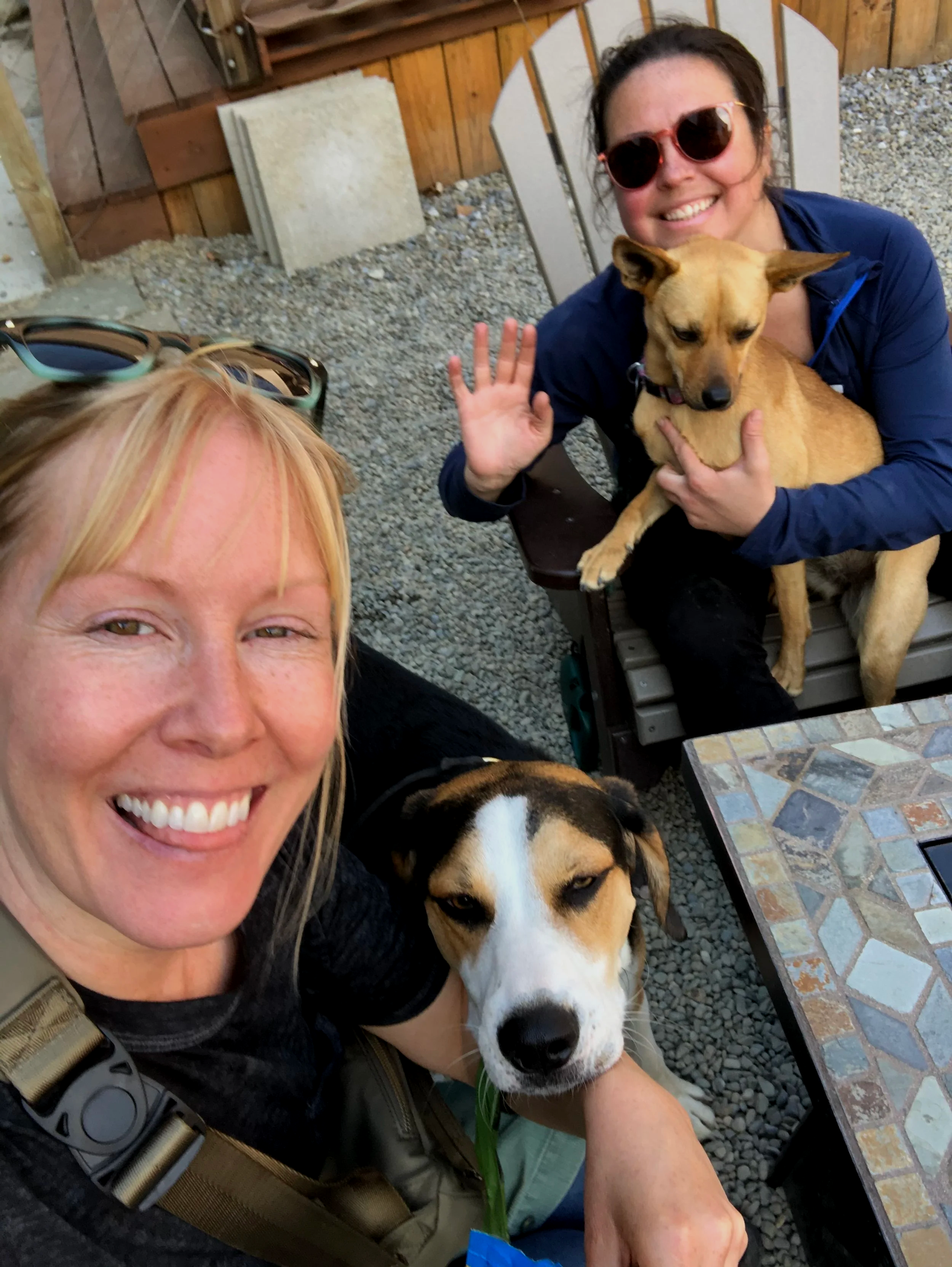 Two women outdoors with two dogs, smiling and taking a selfie. One woman has blond hair, wearing sunglasses on her head, and is beside a black and white dog. The other woman has dark hair, wearing round sunglasses and a blue jacket, sitting on a bench with a tan dog on her lap.