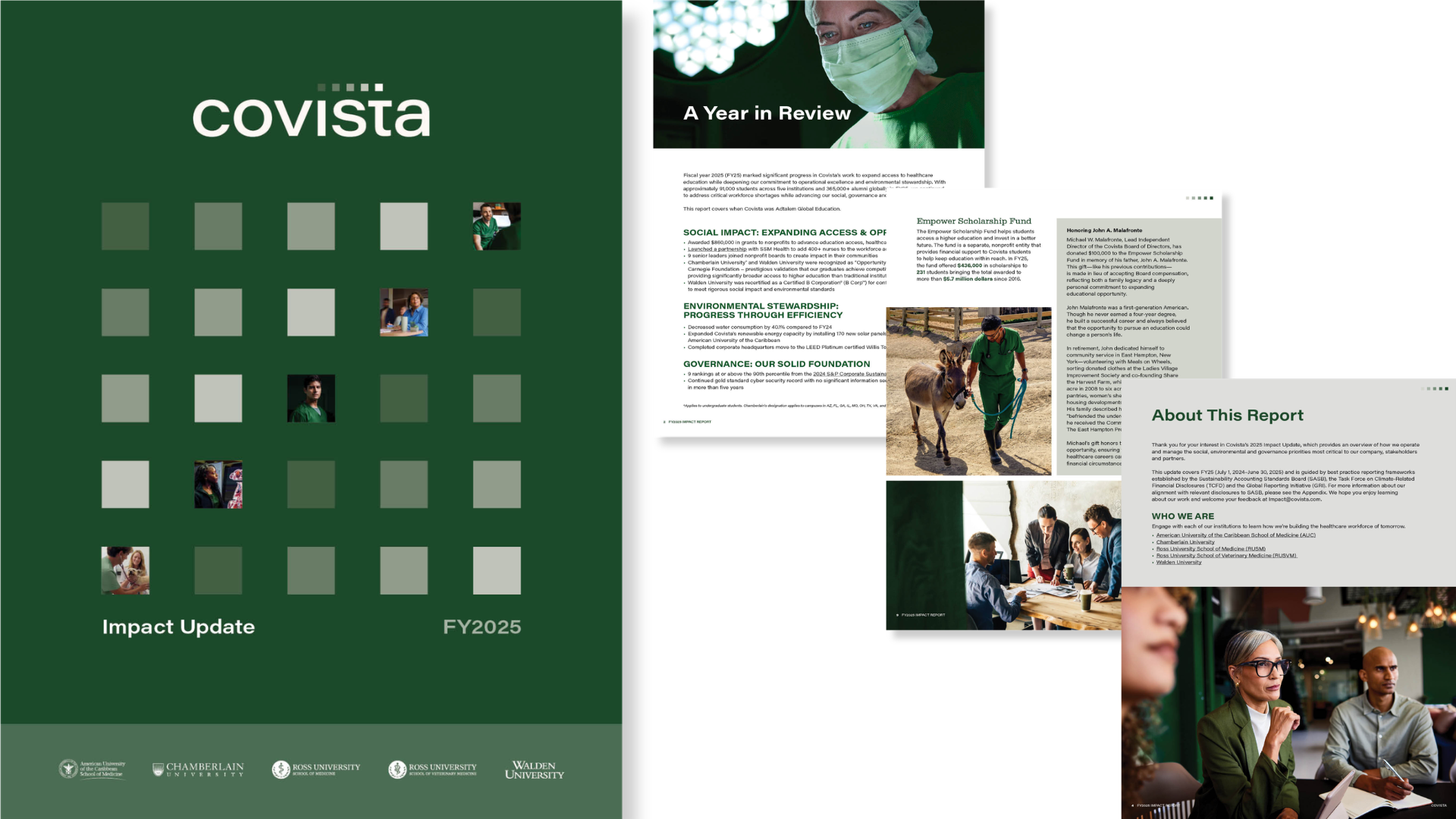 Covista Impact Report / Click image for full report