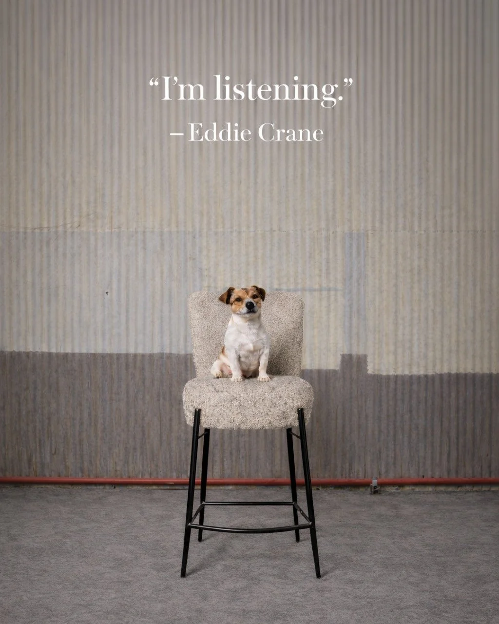 This chair understands me...throwback to 1993...Fraiser! 

The Magnolia chair is elevated taste, exceptional comfort.  Available in counter, bar and dining height as well as in a swivel style.

SIT COMFORTABLY, LIVE BEAUTIFULLY. 

Like, follow and sh