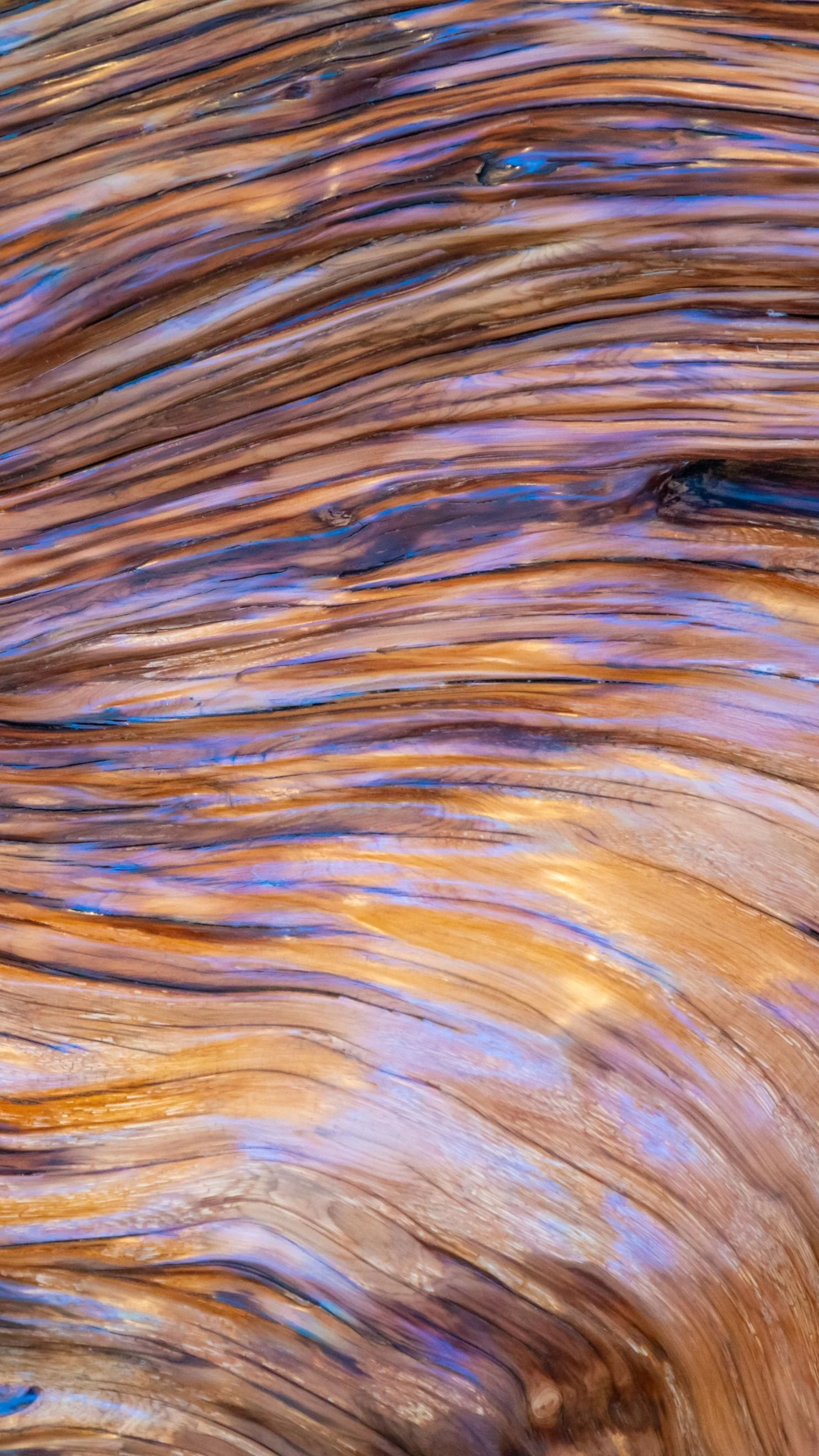 Texture de bois peint avec des tons marrons et violets