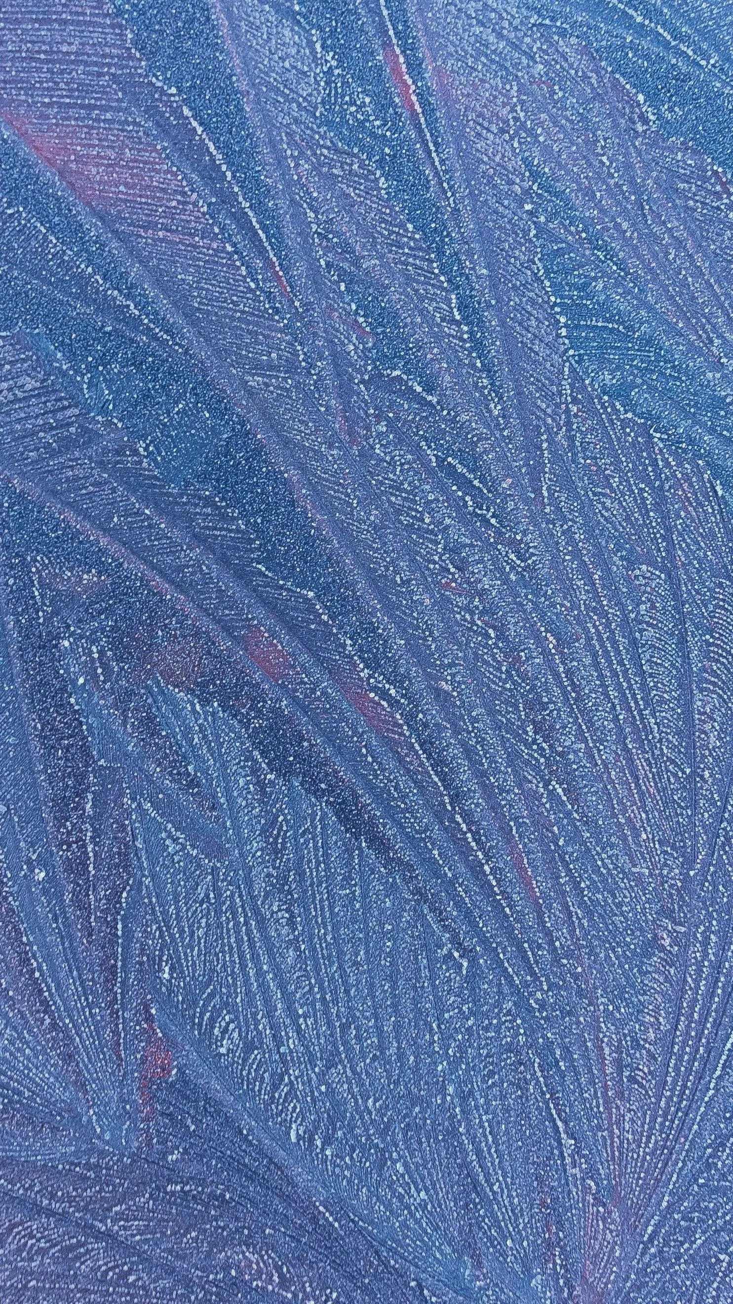 Givre formé sur une surface, avec des motifs en forme de feuilles et un éclatbleur bleu et violet.