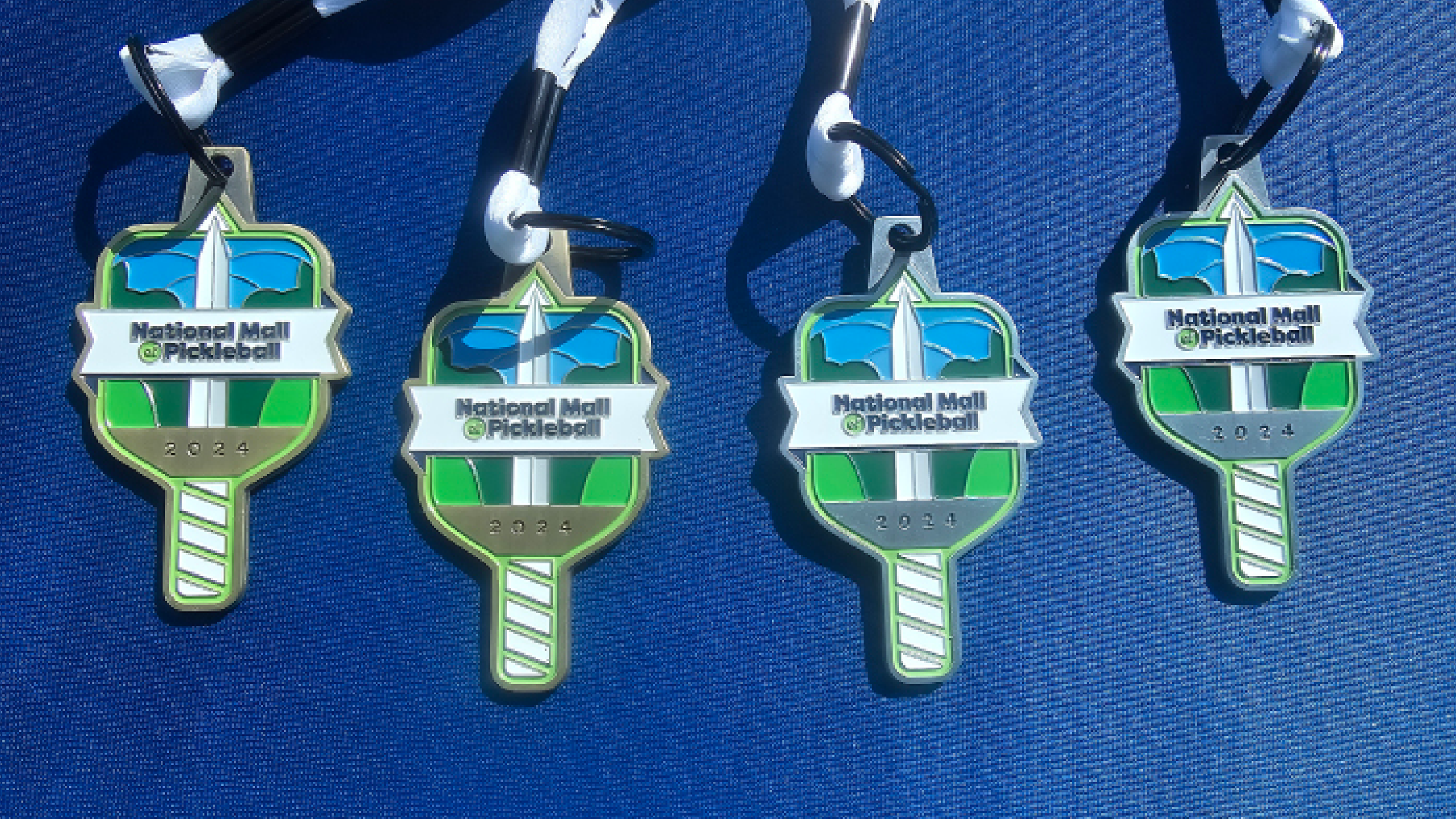 Pickleball PNGs for Website11.png