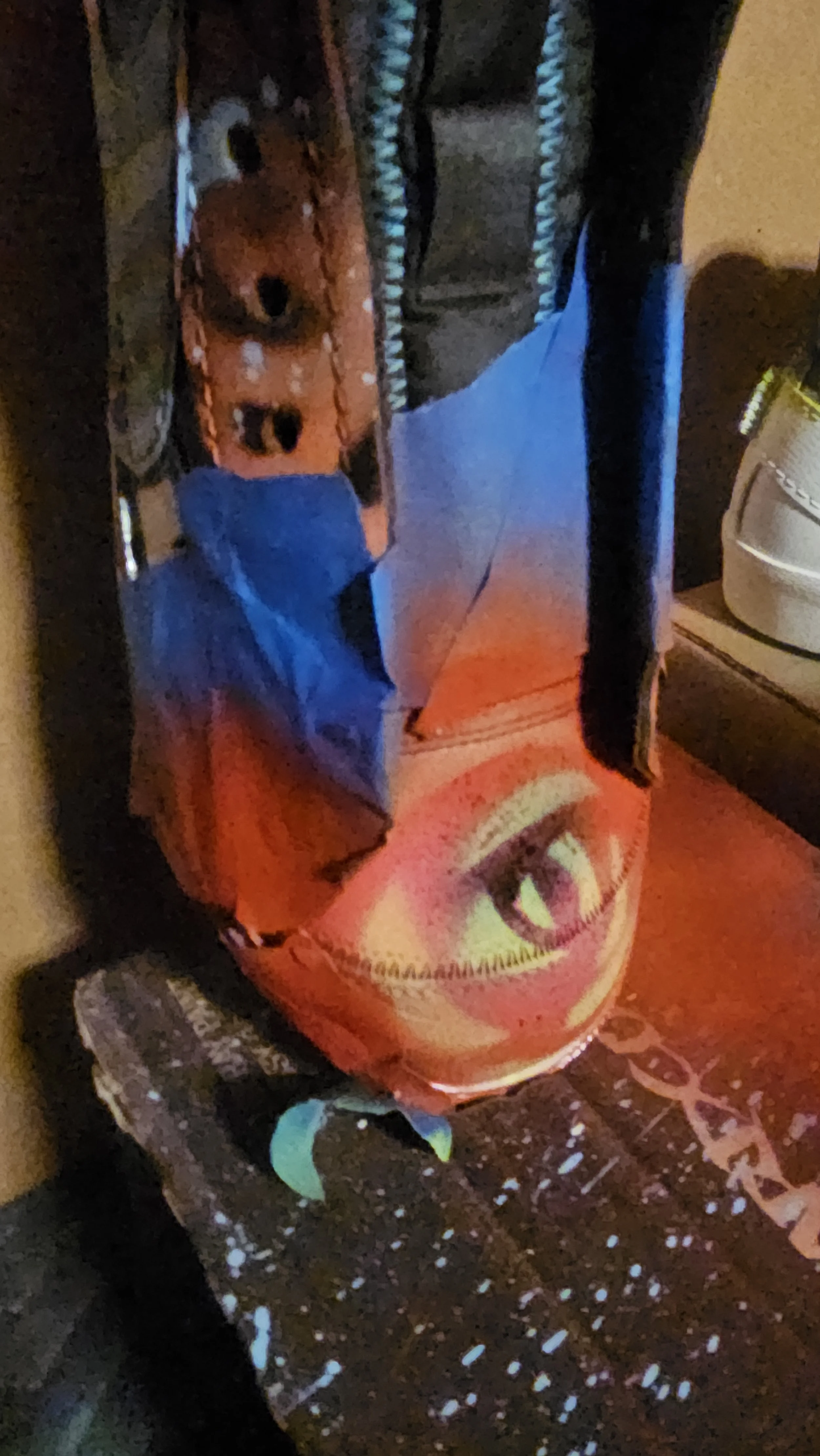 20241217_193729.jpg